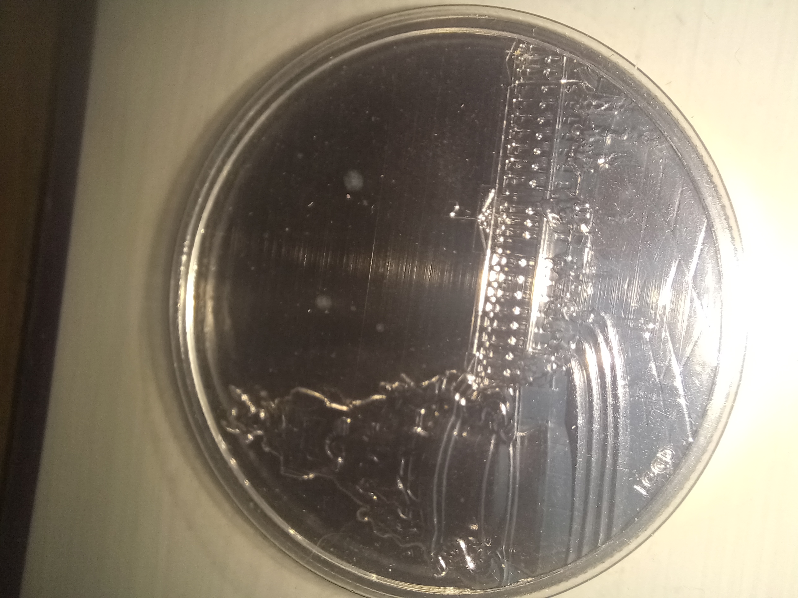 20250403_213357.jpg