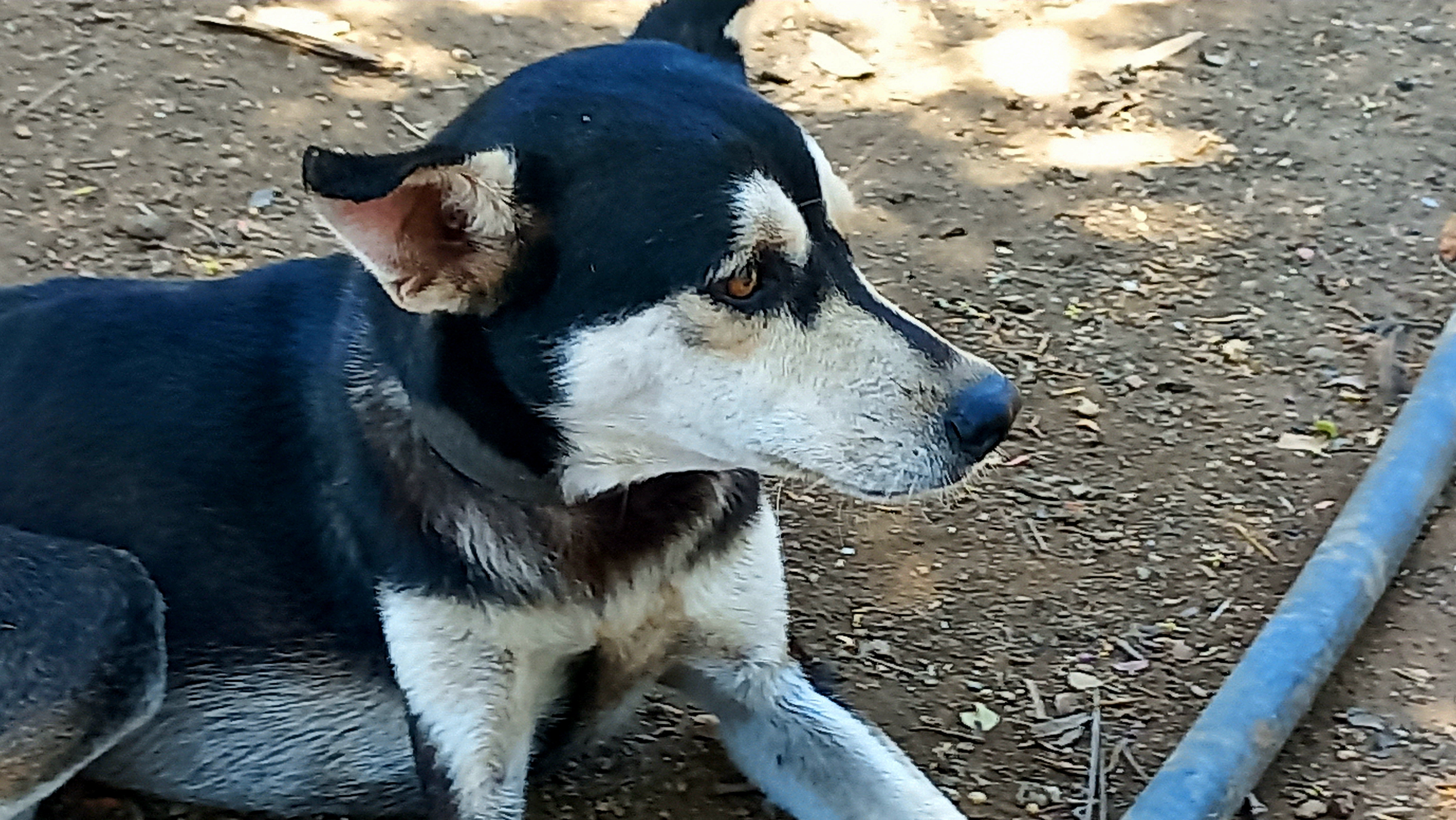 20250323_111055.jpg