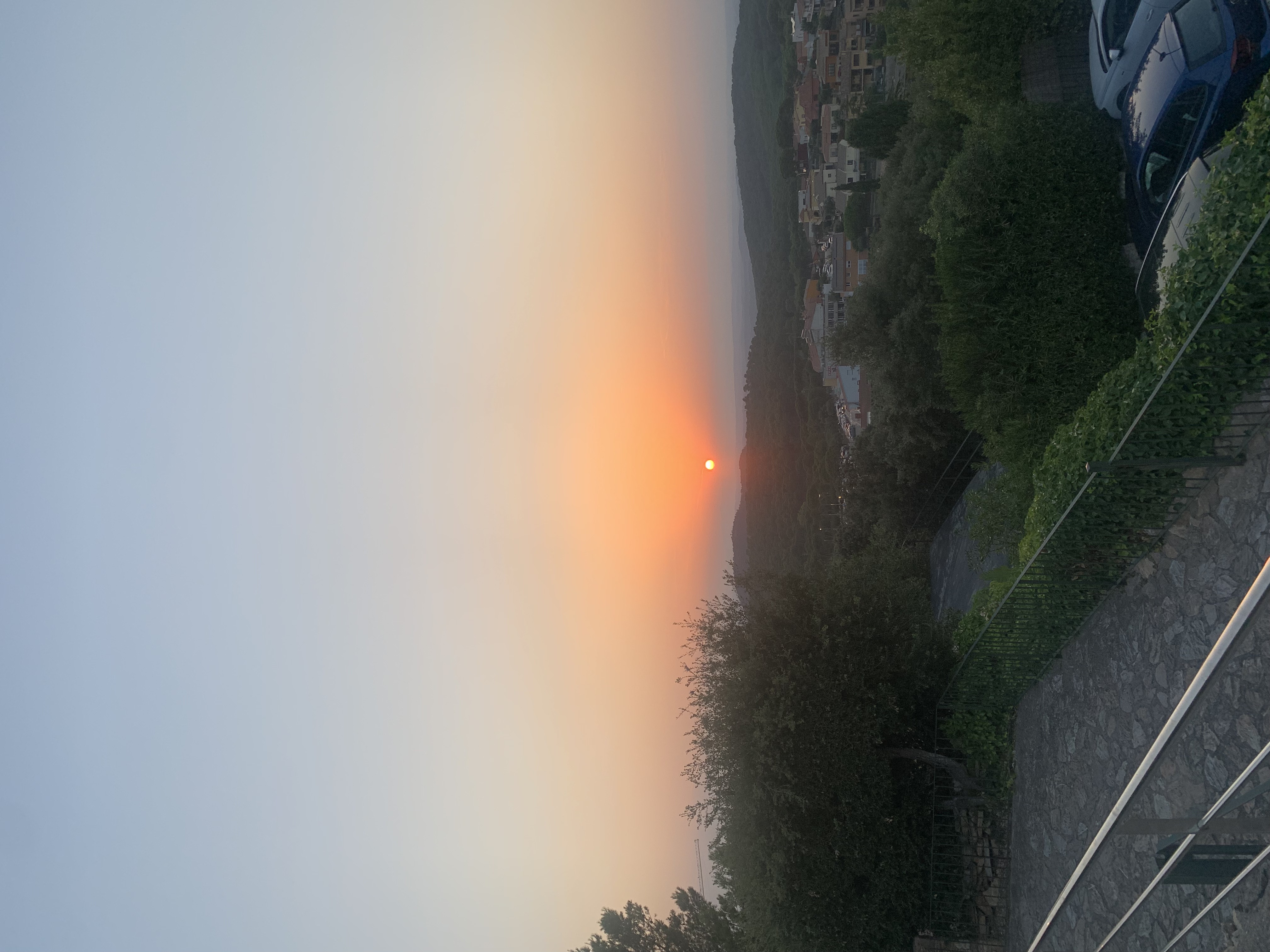 IMG_2023.jpeg