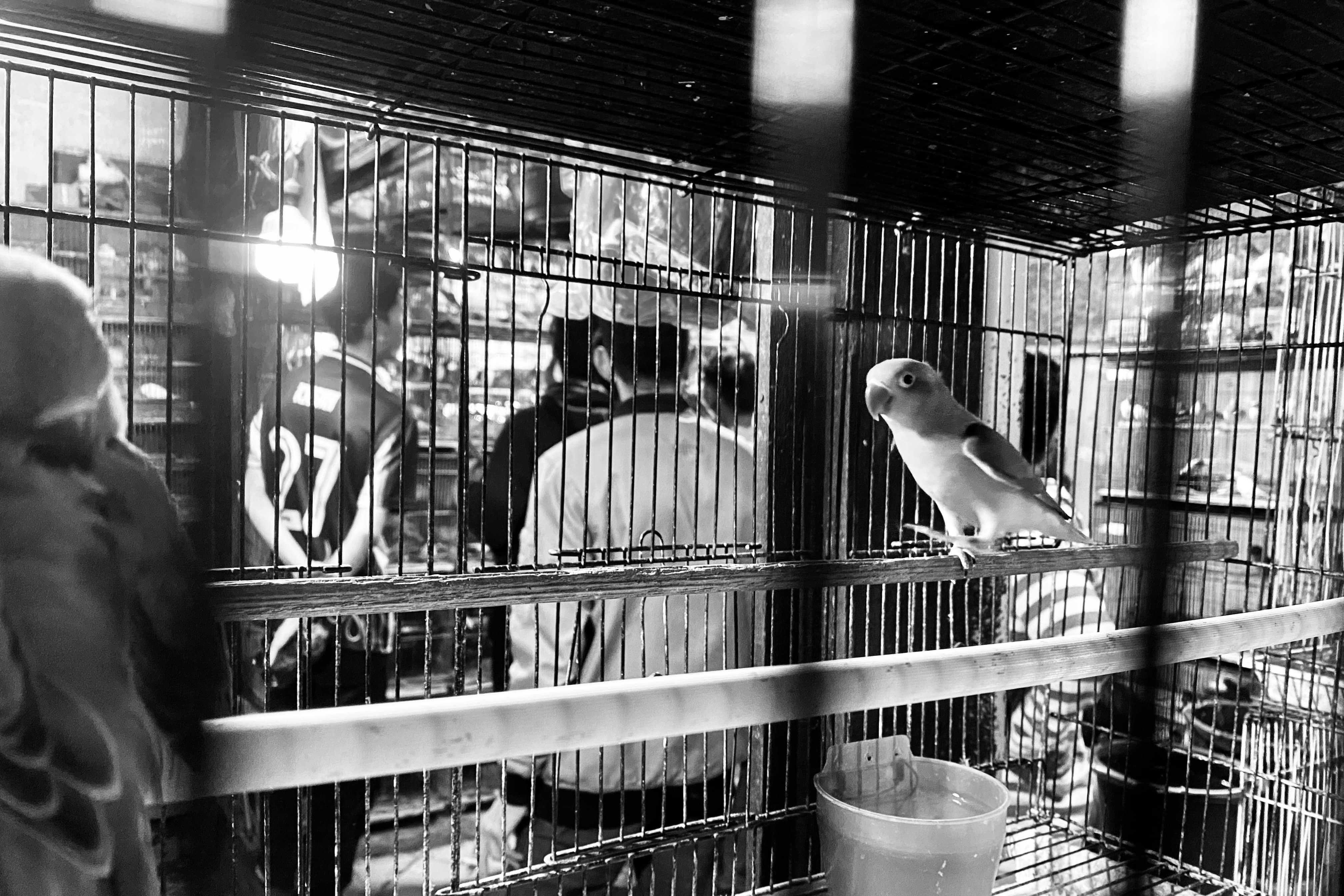 image00005-08-min.jpeg