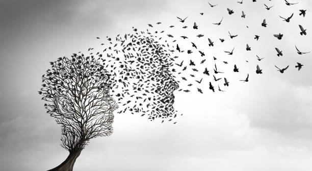 istockphoto-2161177489-612x612.jpg