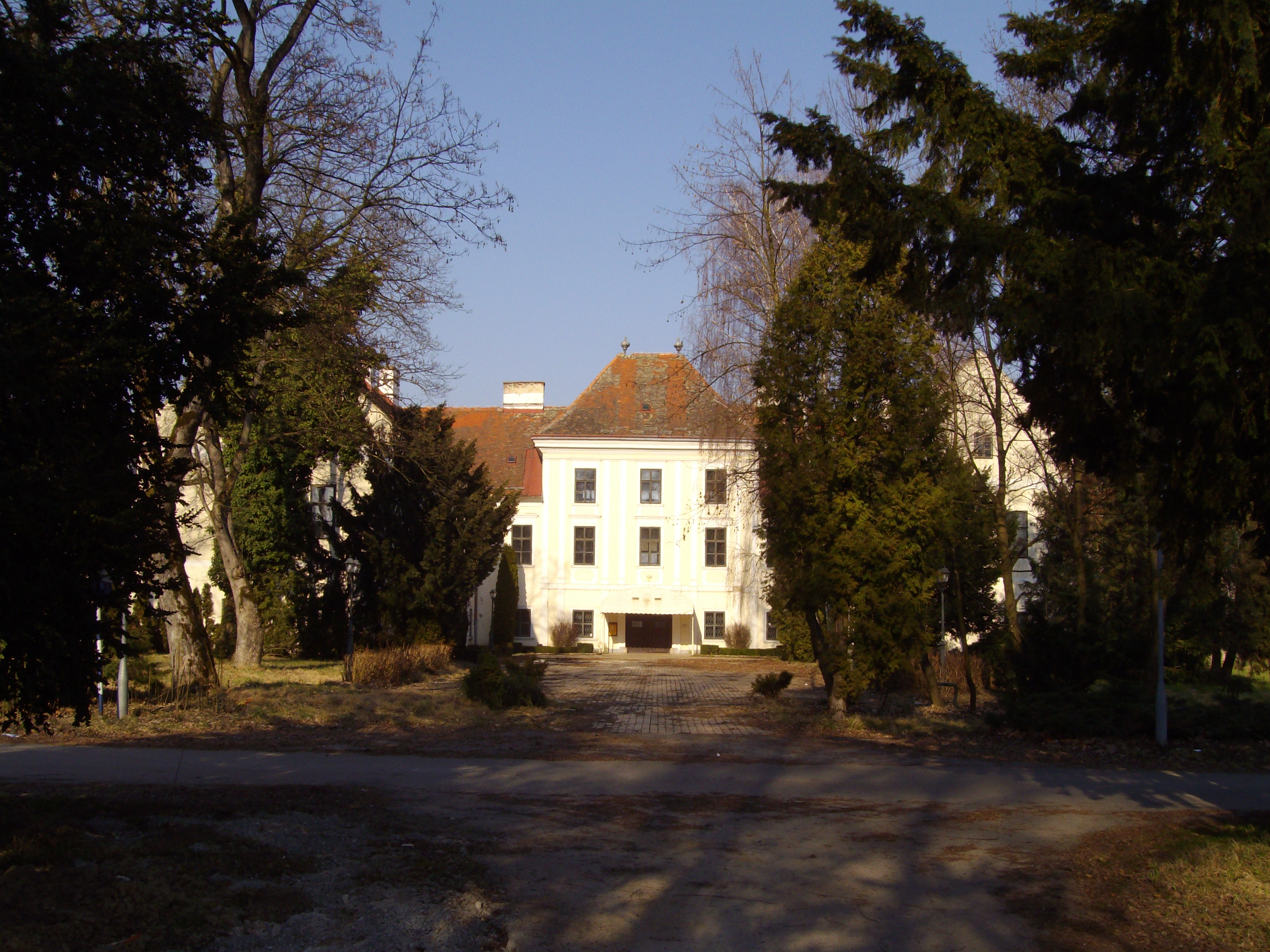 brez 3-2008.JPG