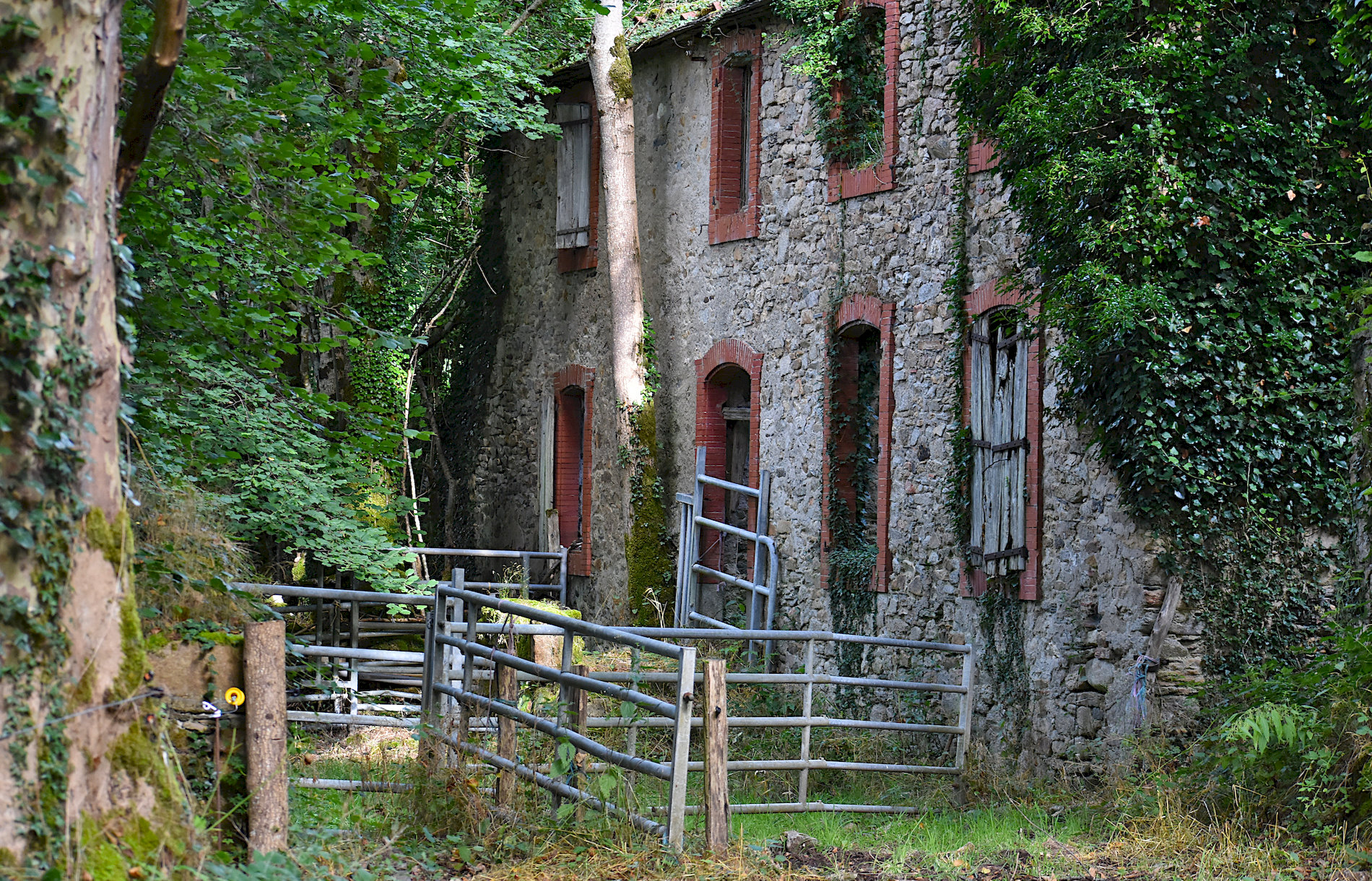 p4b.jpg