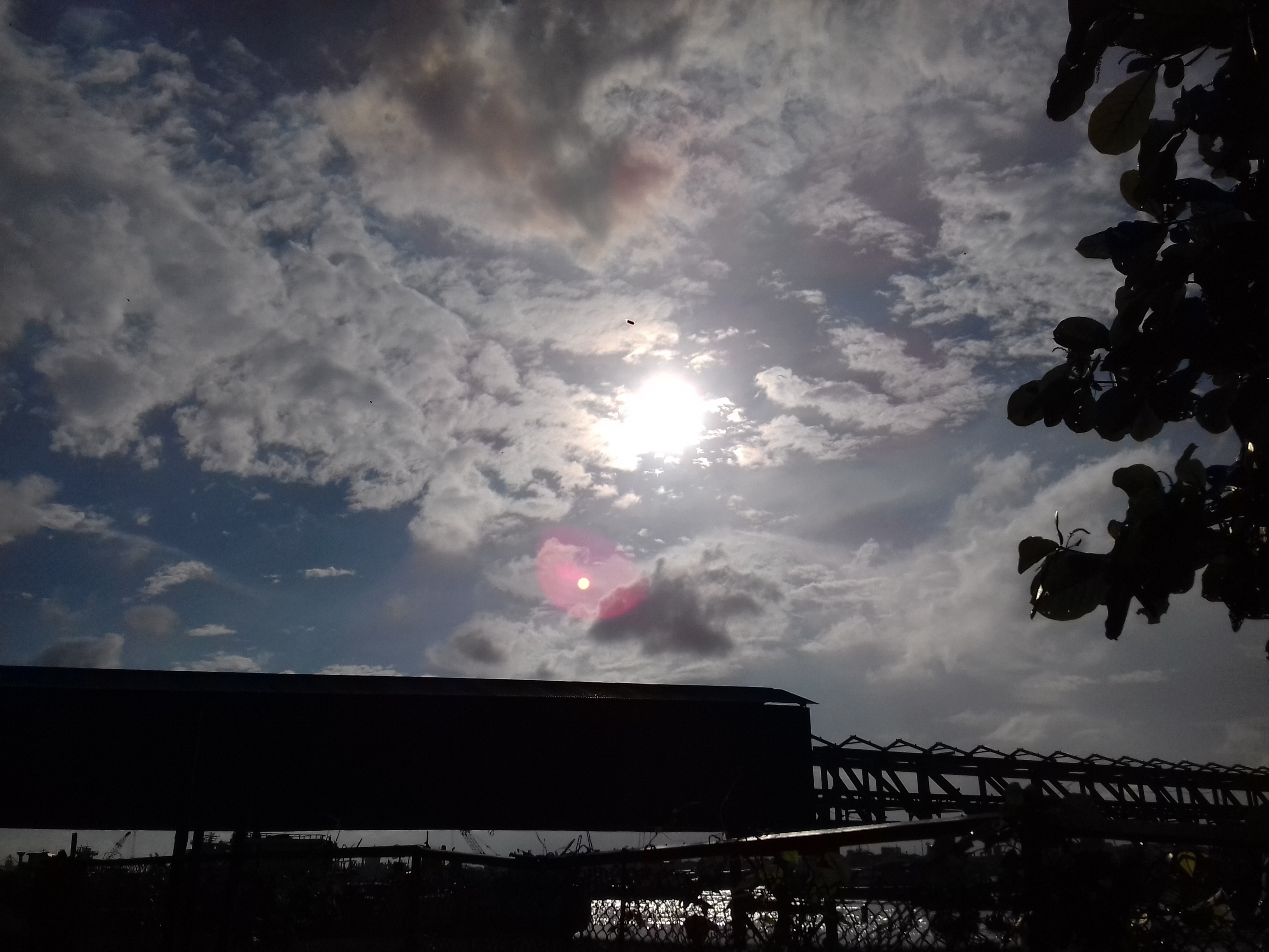 20200902_163041.jpg