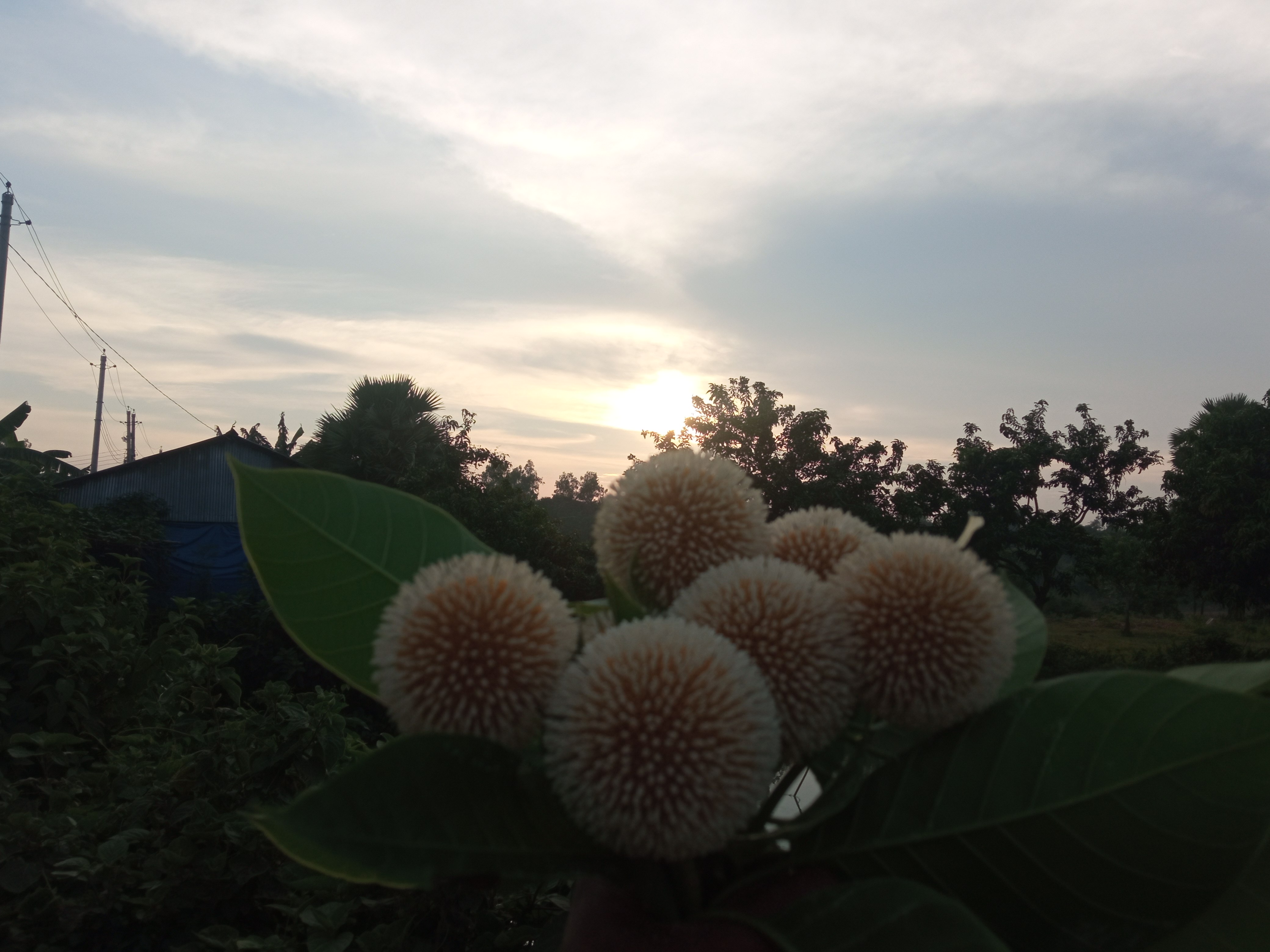 IMG_20220822_175622.jpg