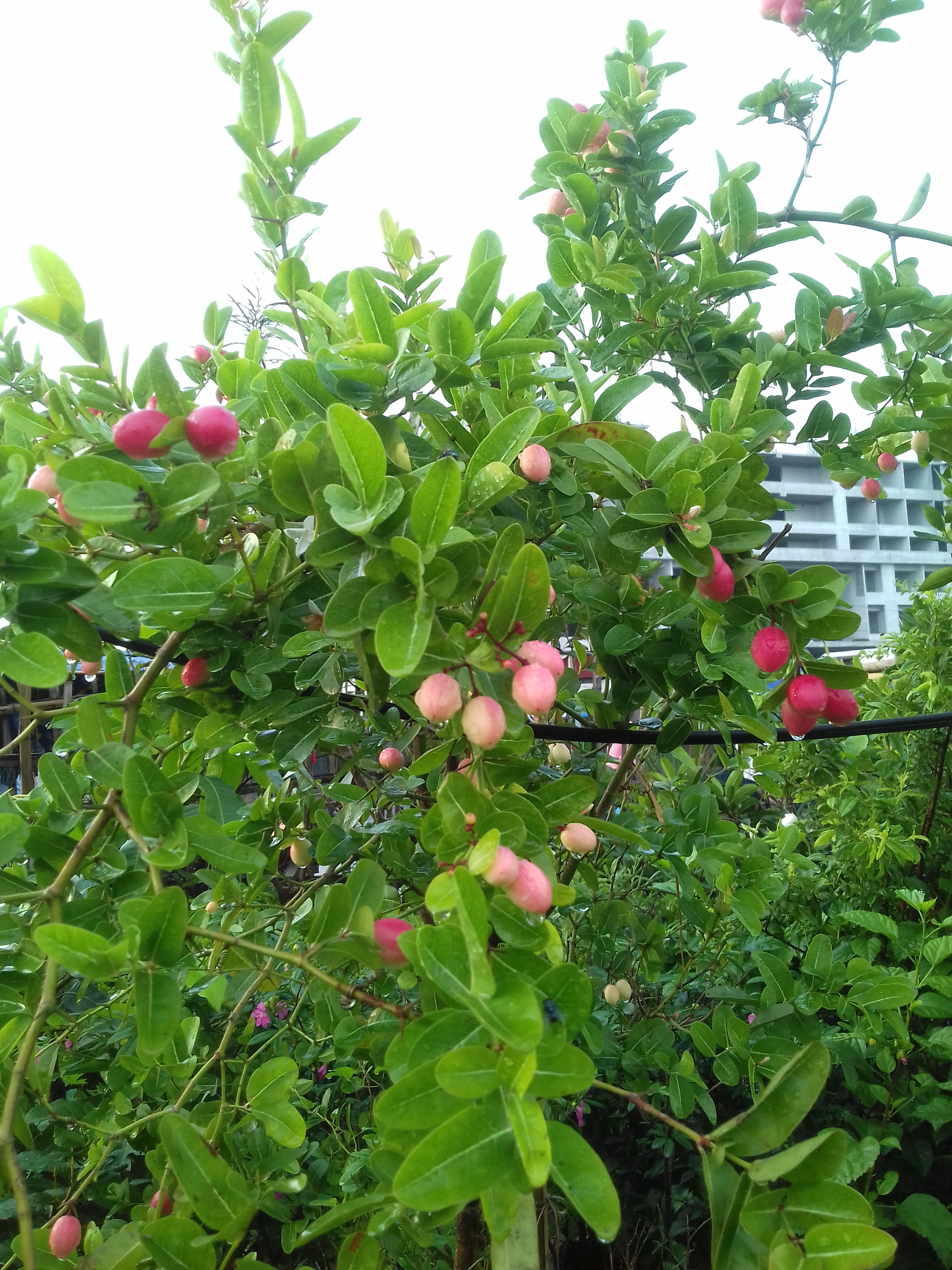 20220512_170701.jpg