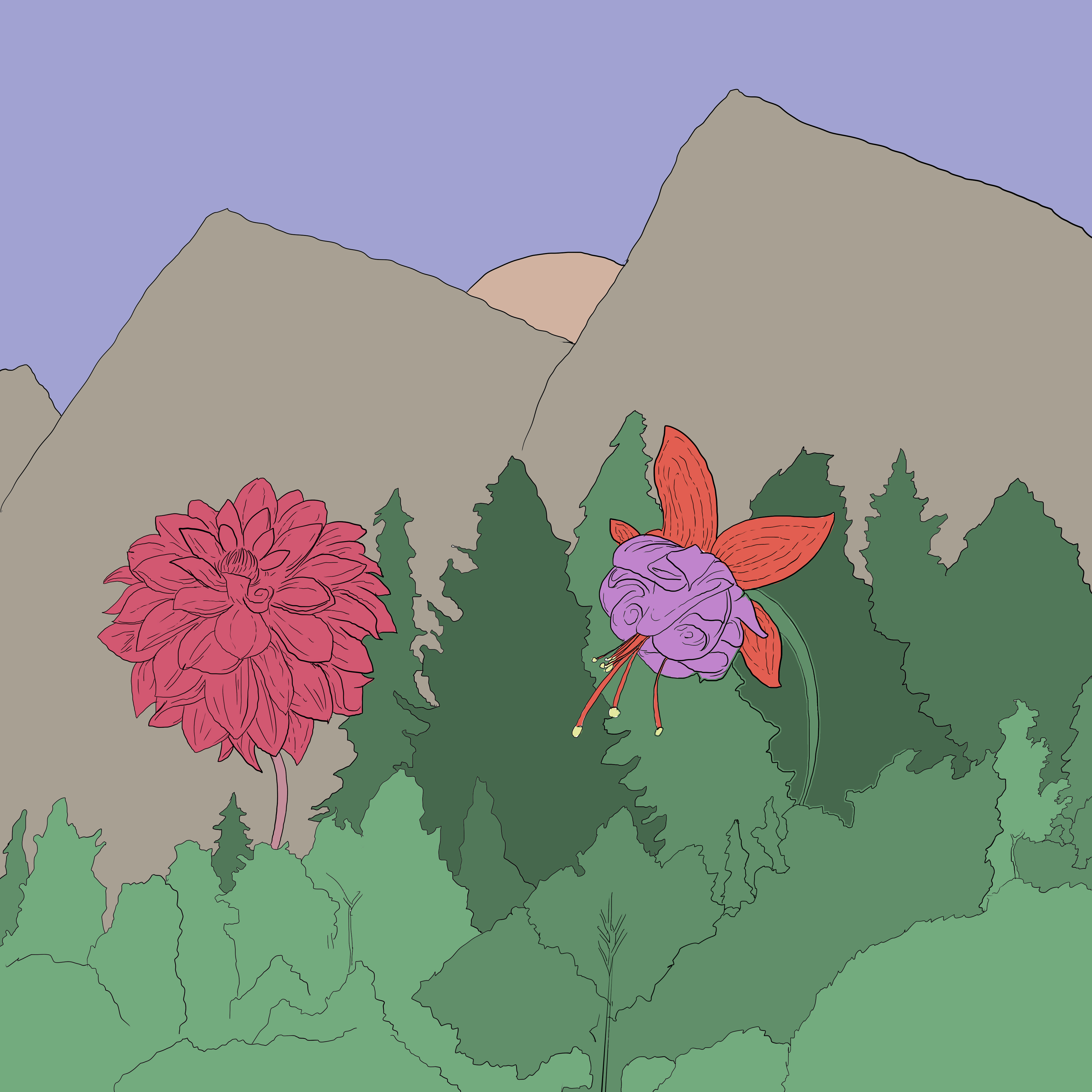 03.jpg