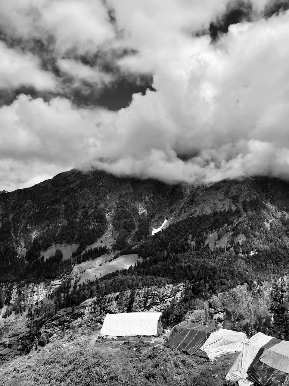 IMG_5239.jpeg