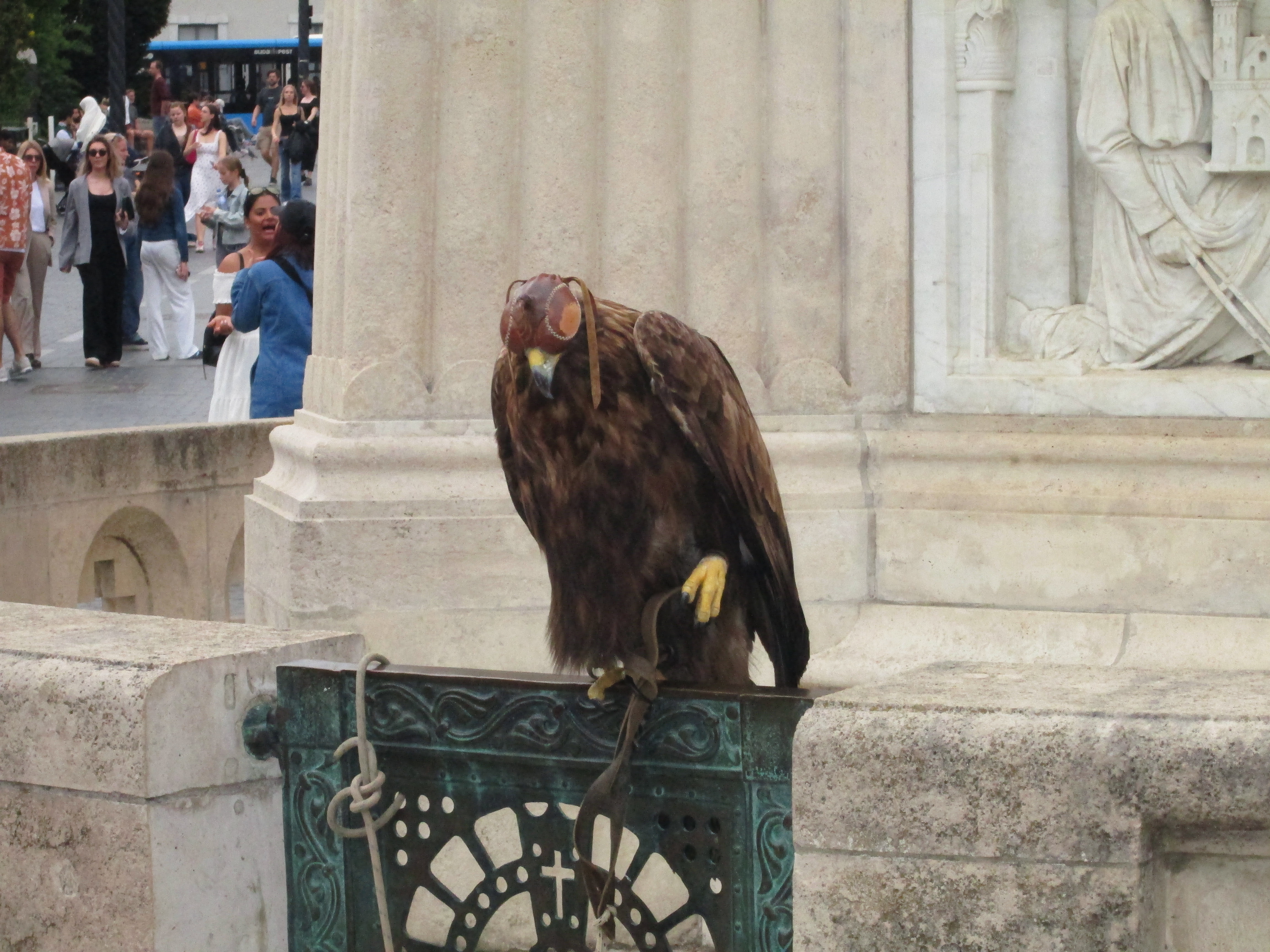 IMG_2947.JPG
