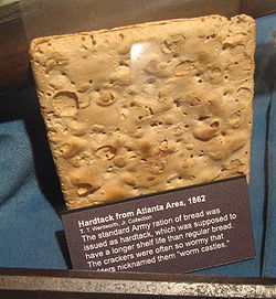 250px-PensacolaWentworthAug2008Hardtack.jpg