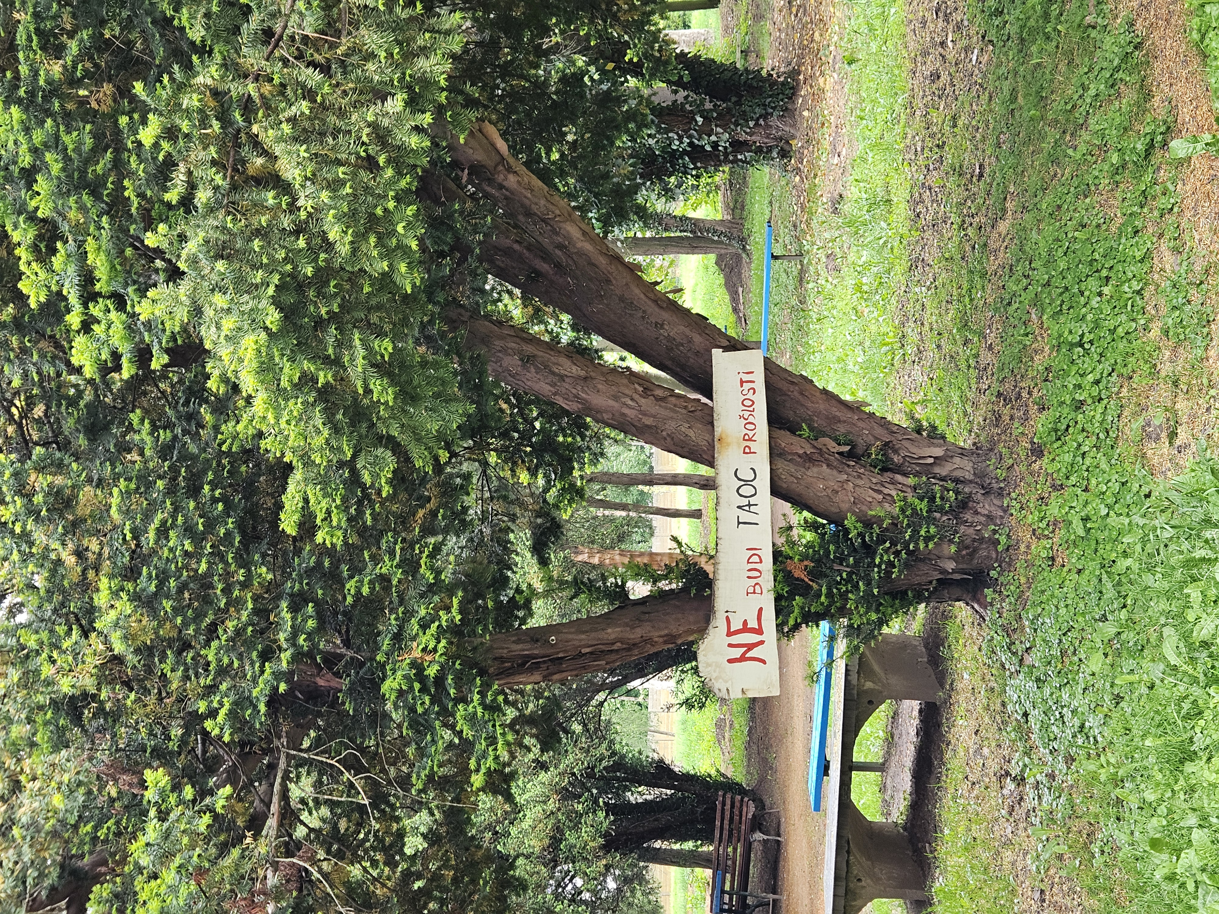 20250512_164537.jpg