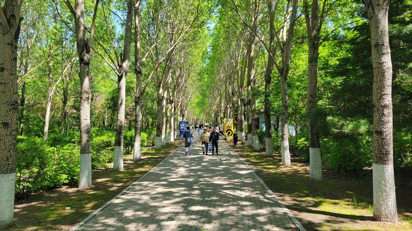 20250504_111351.jpg