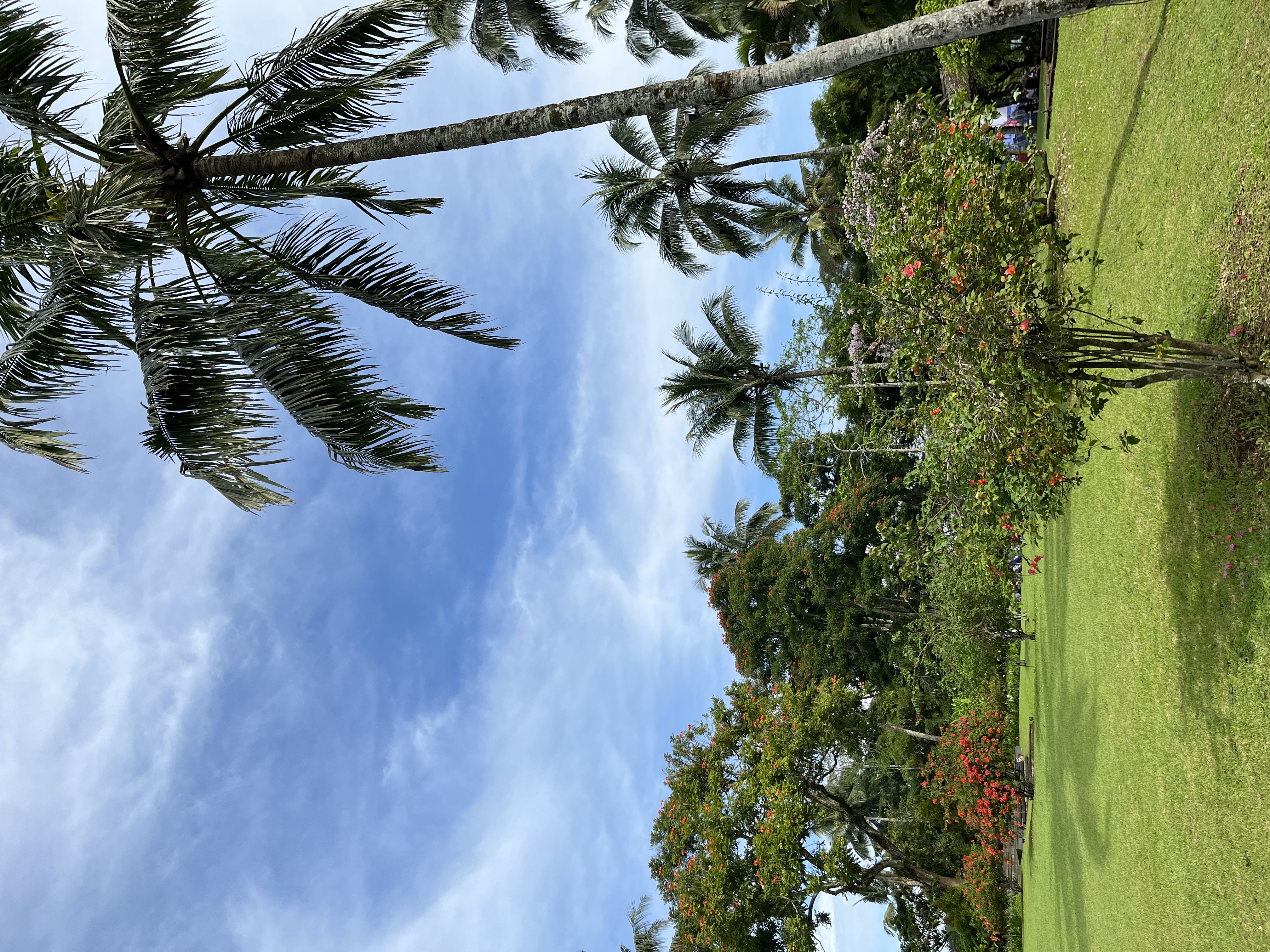 IMG_0782.jpeg