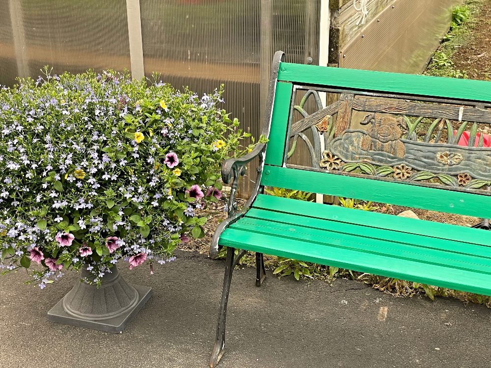 alwaysaflower-farm-122.jpg