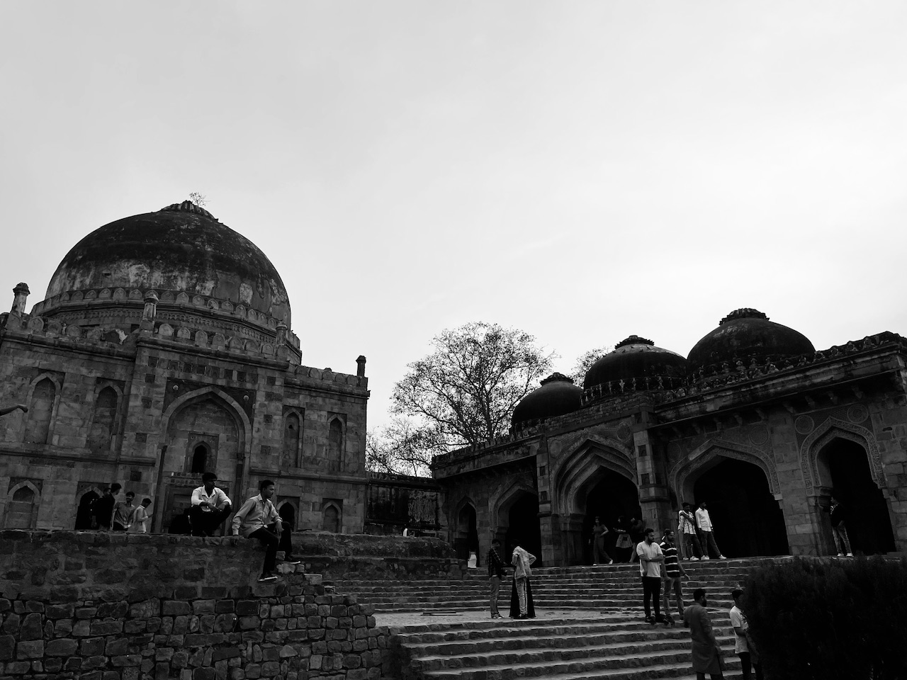 IMG_8124.jpeg