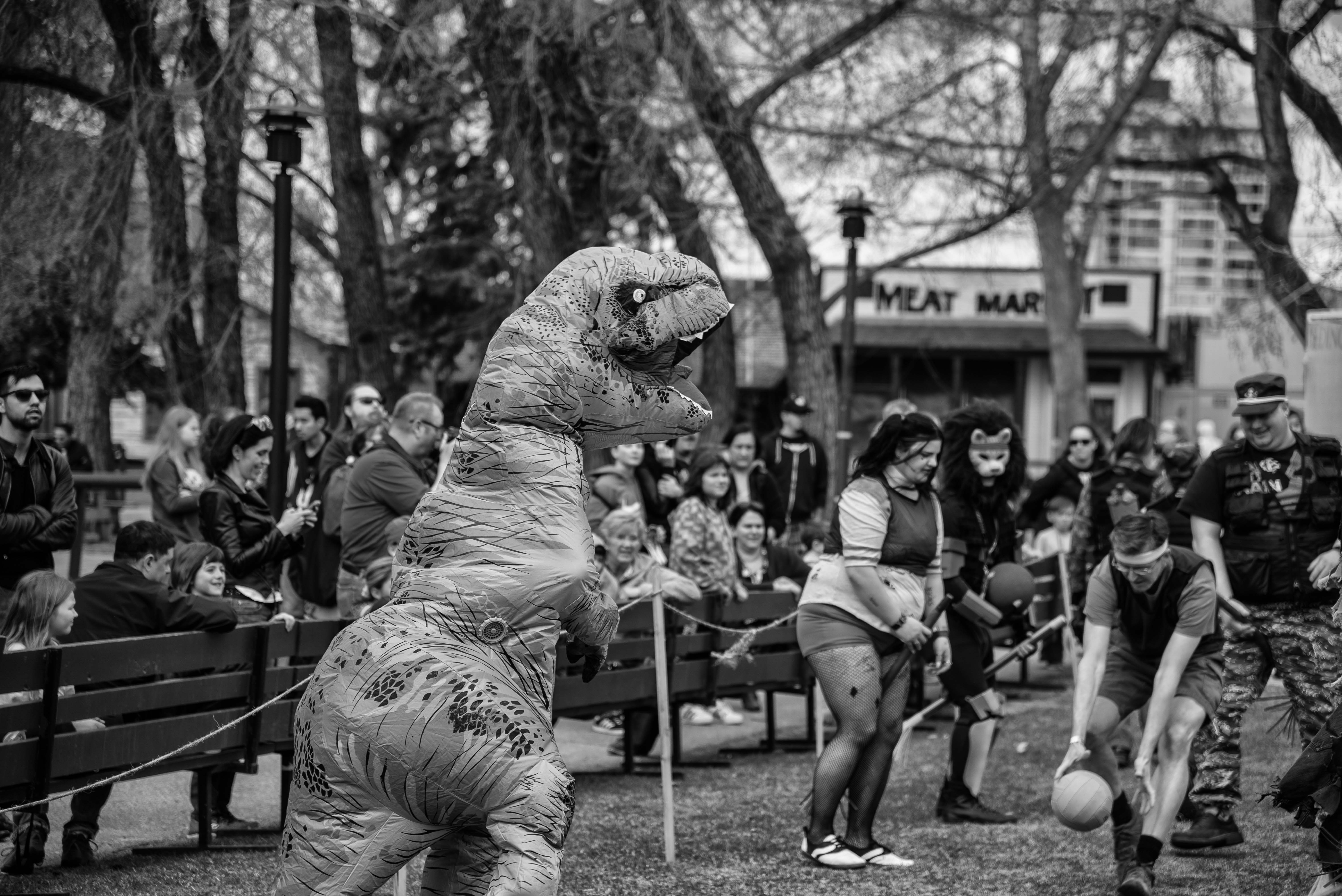 DSC_0039-Edit-2.JPG