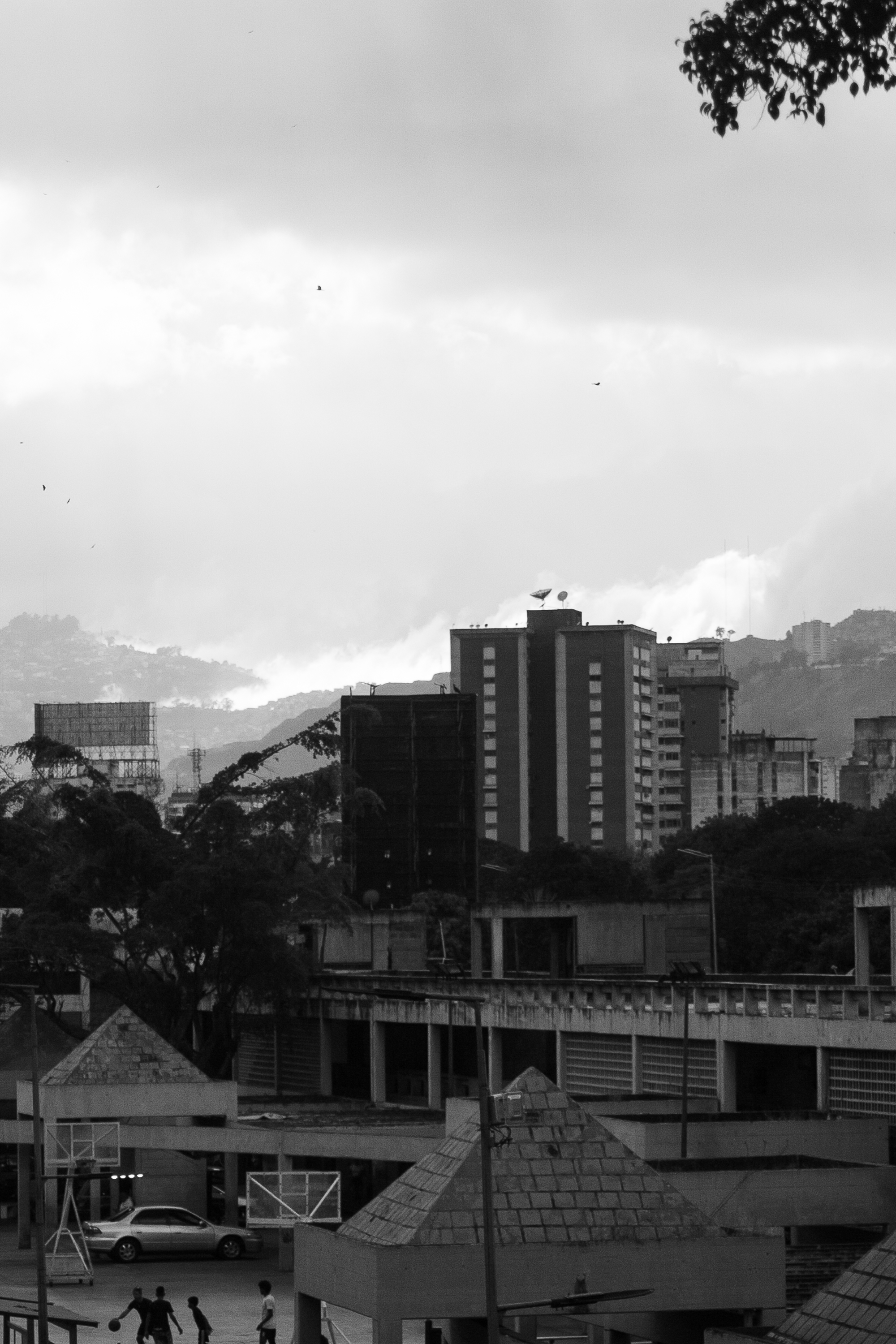_MG_0024.jpg