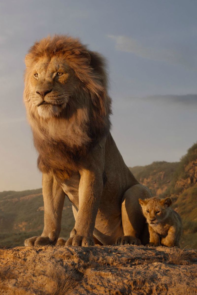 Disney Live Action Lion King Trailer Featuring Simba.jpg