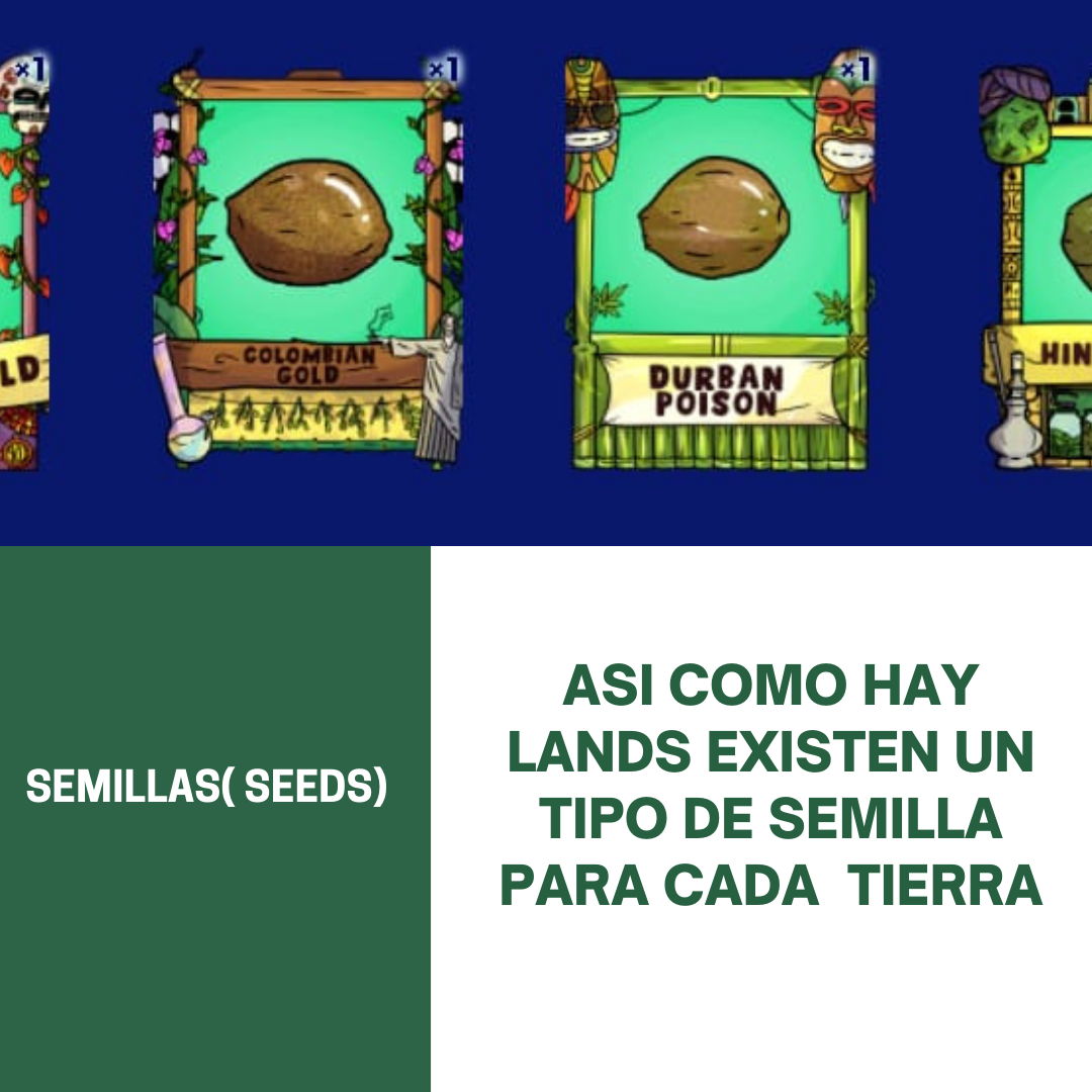 TIERRAS(LANDS) (1).png