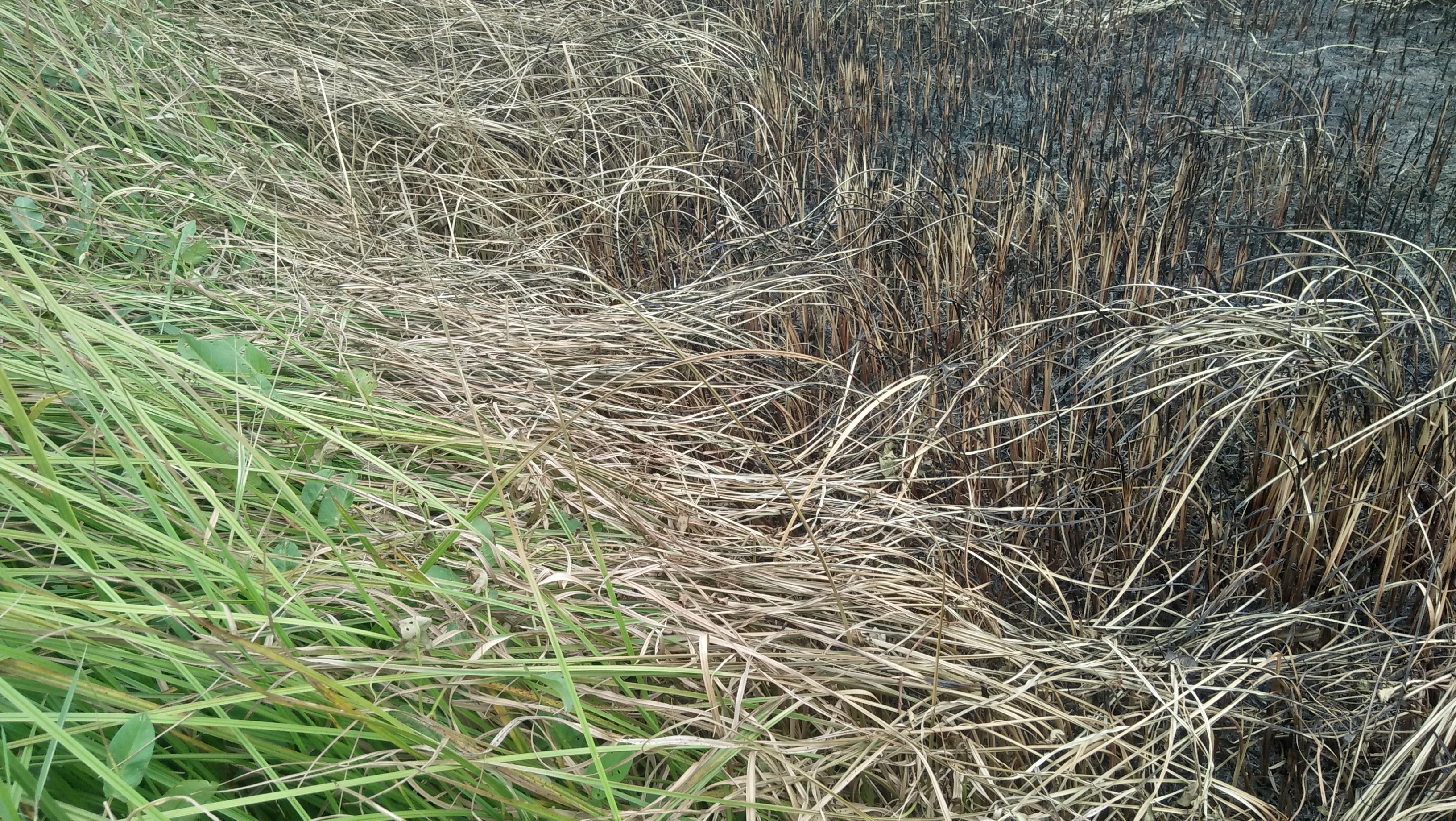 IMG20230502105312.jpg