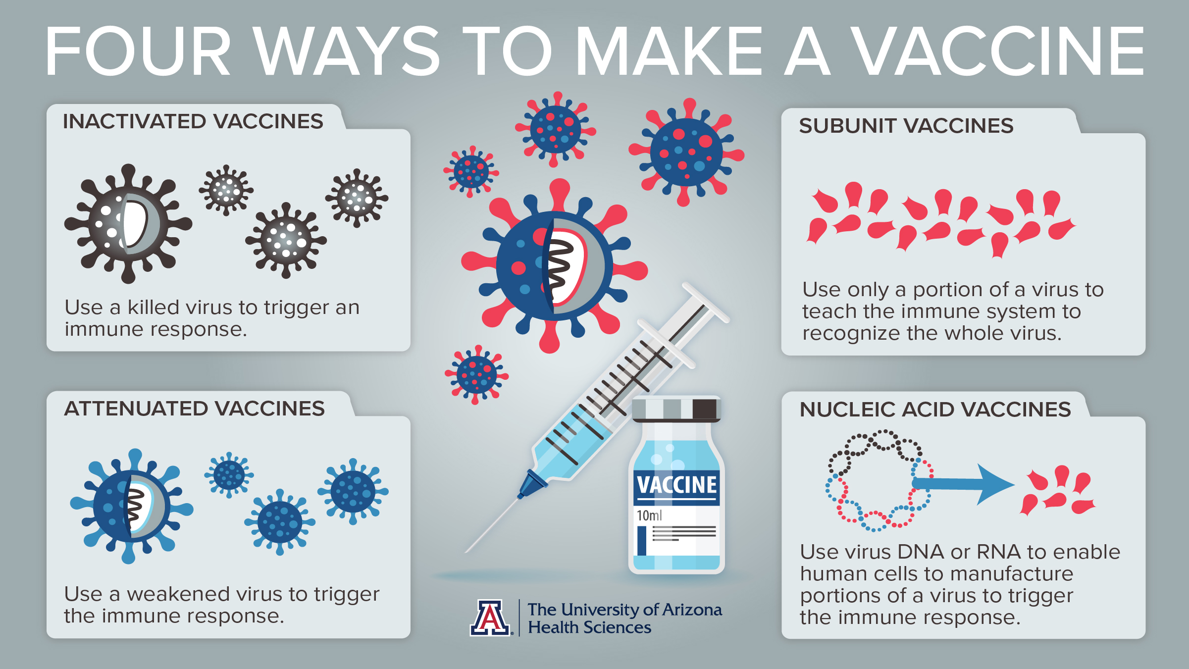 vaccine_graphic-hero_2400x1350_final-v2_0-789381960.jpg