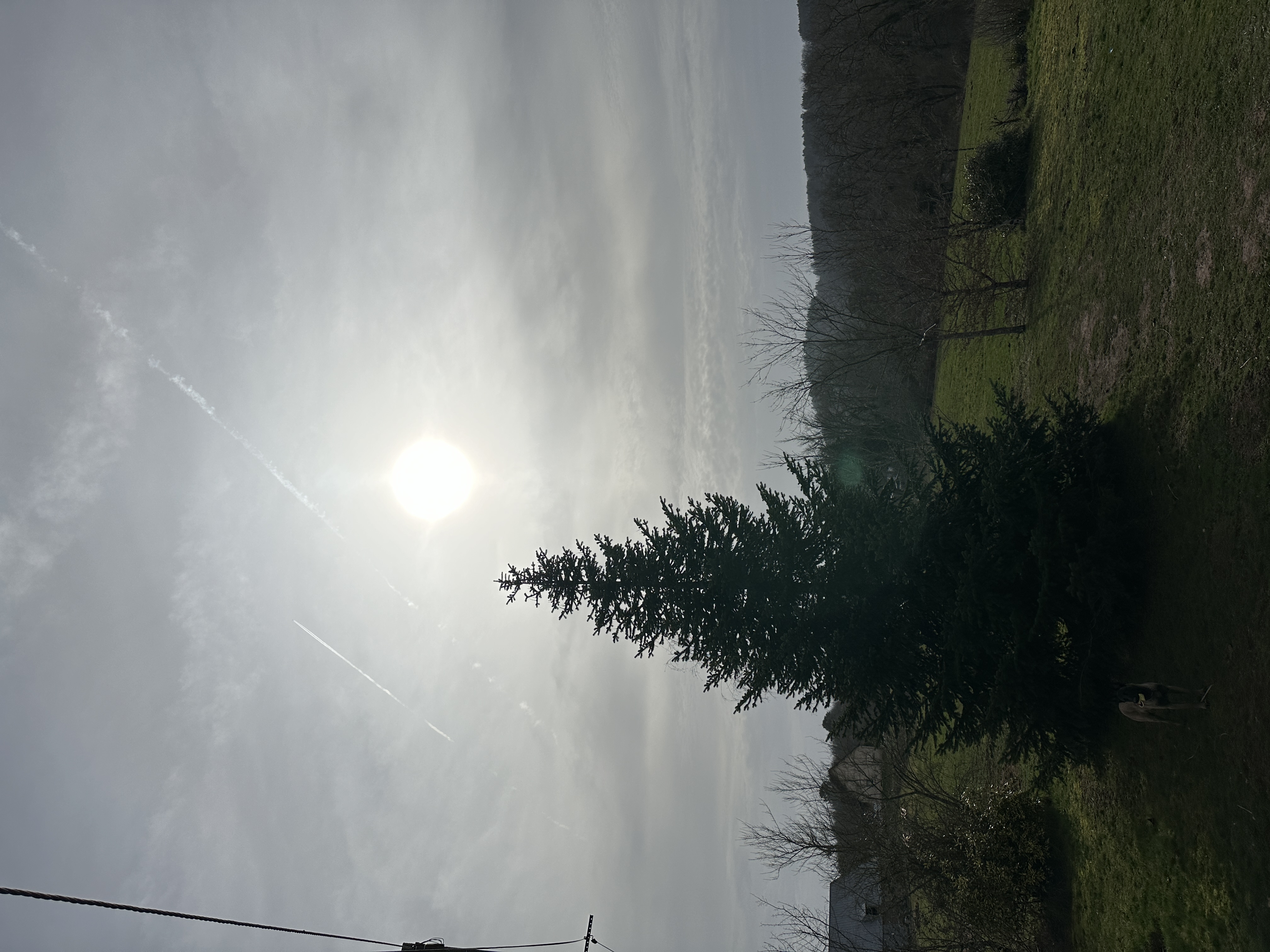 IMG_1704.jpeg