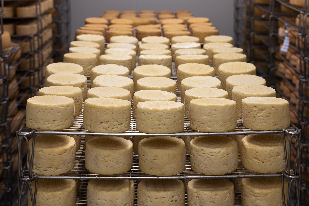 cheese-5125021_1280.jpg