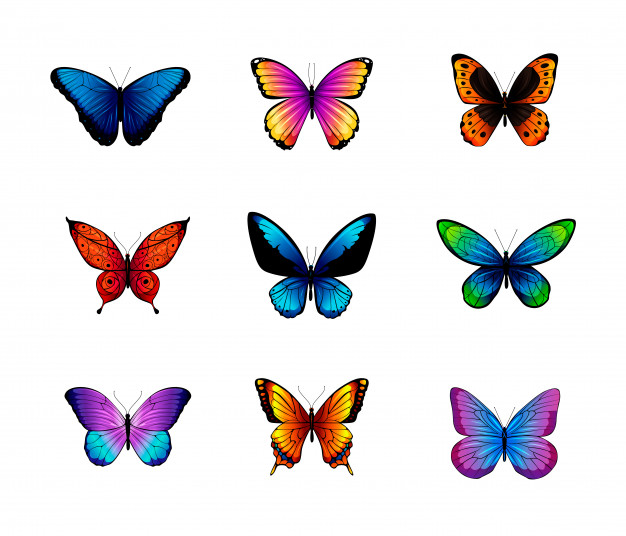 conjunto-mariposas-diferentes-colores_166005-217.jpg