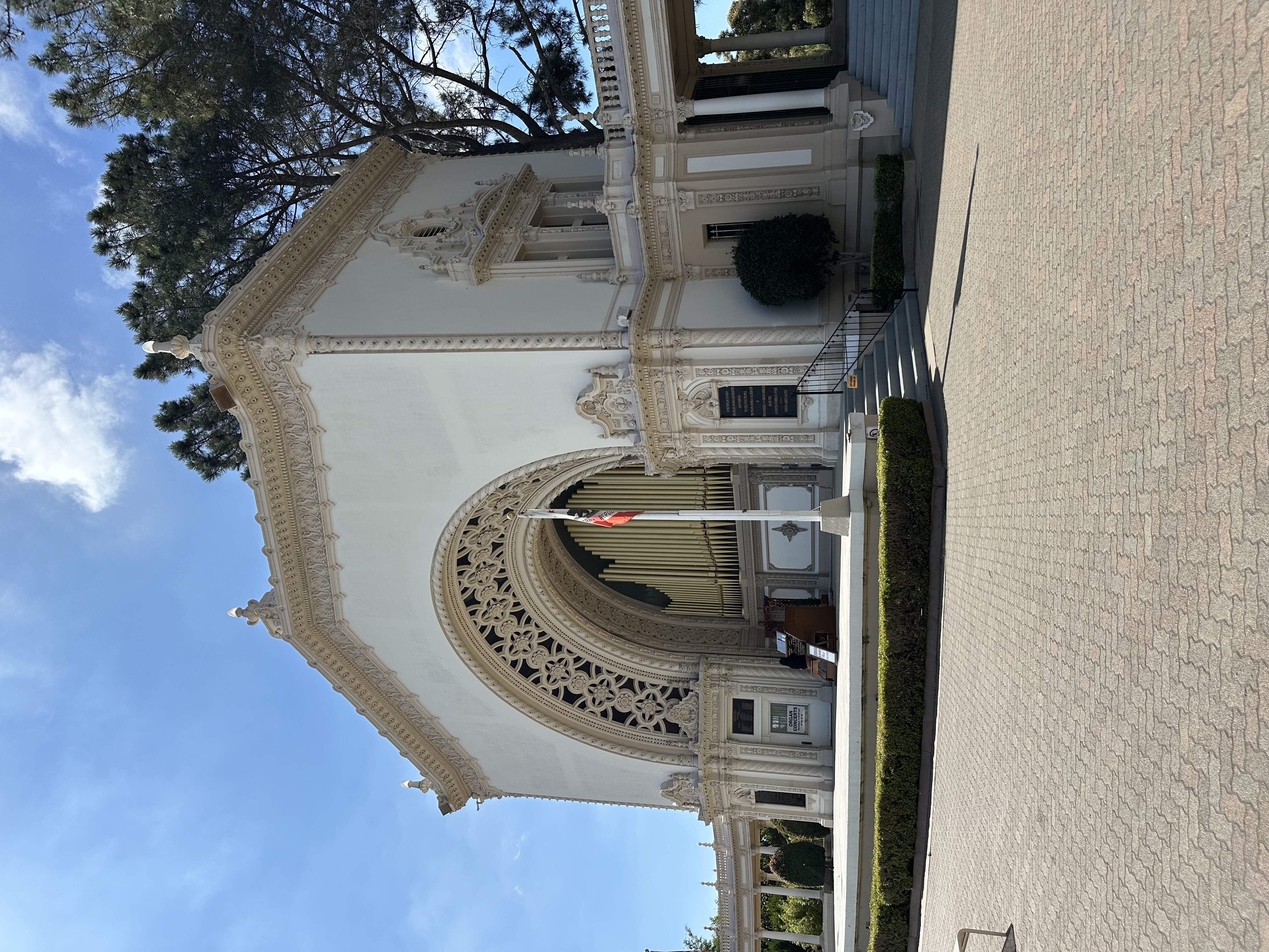 IMG_9918.jpeg