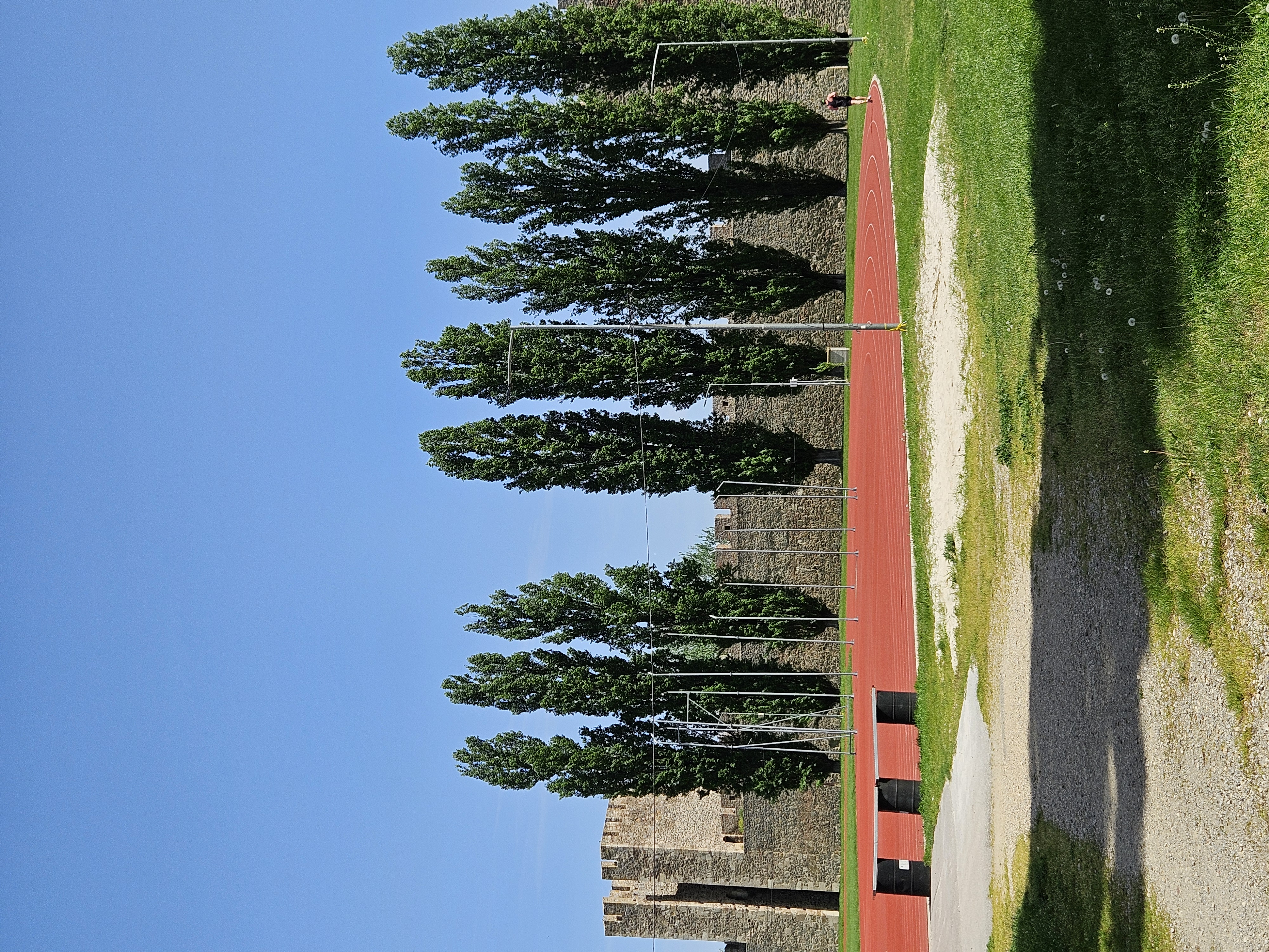 20250421_123256.jpg