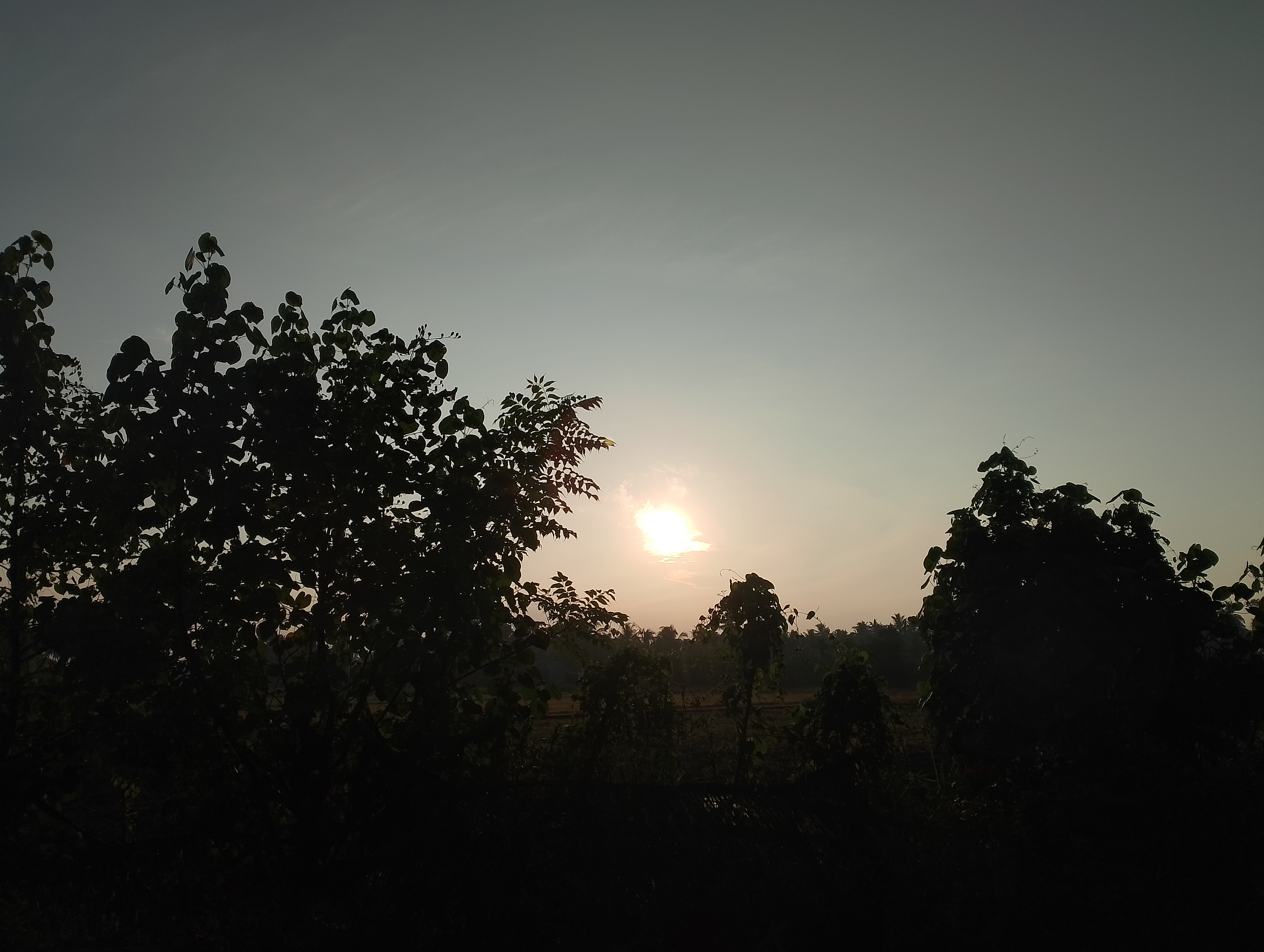 IMG_20250630_070158.jpg