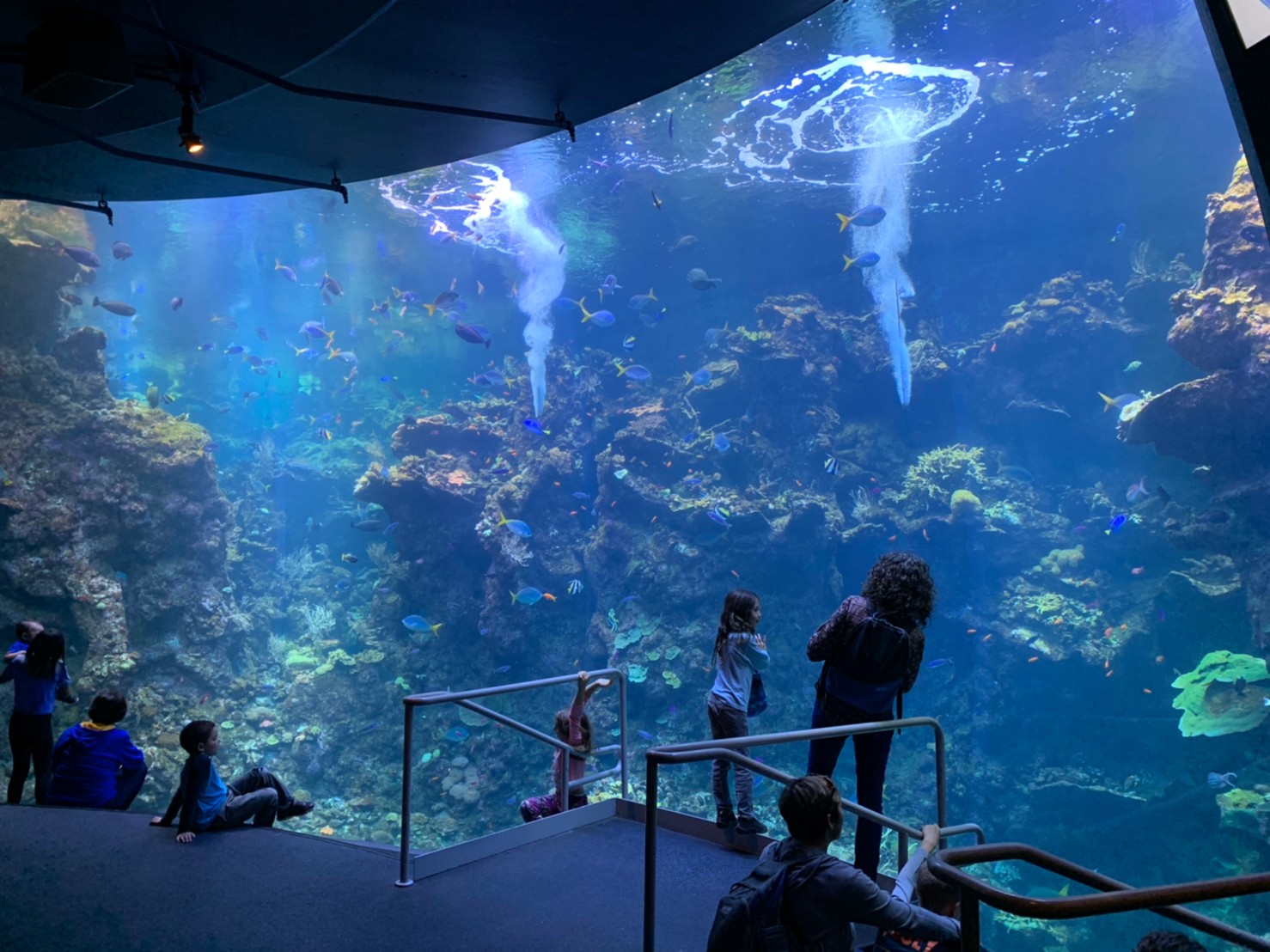 California Academy of Sciences34.jpg