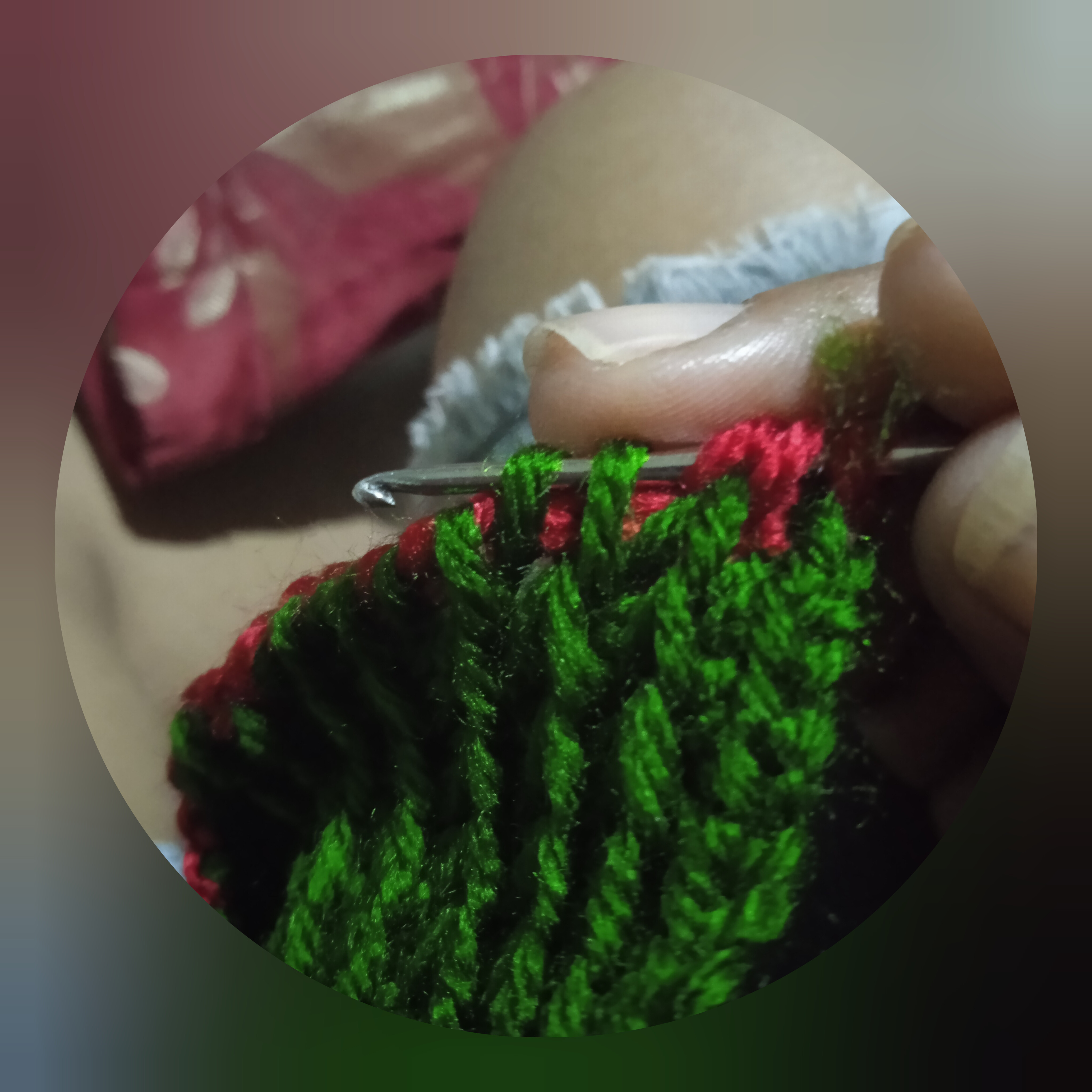 InShot_20250207_201848494.jpg