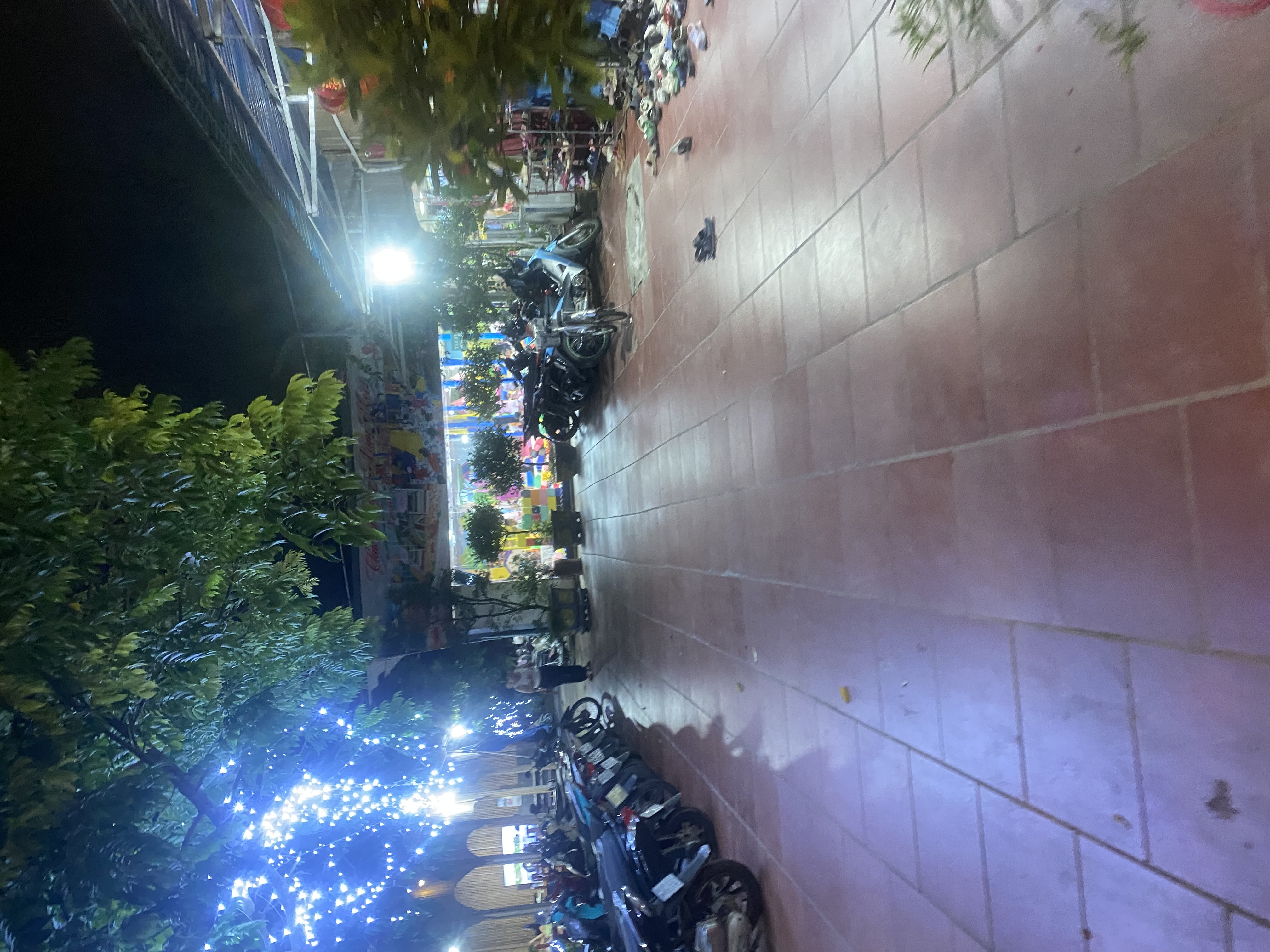 IMG_8239.jpeg
