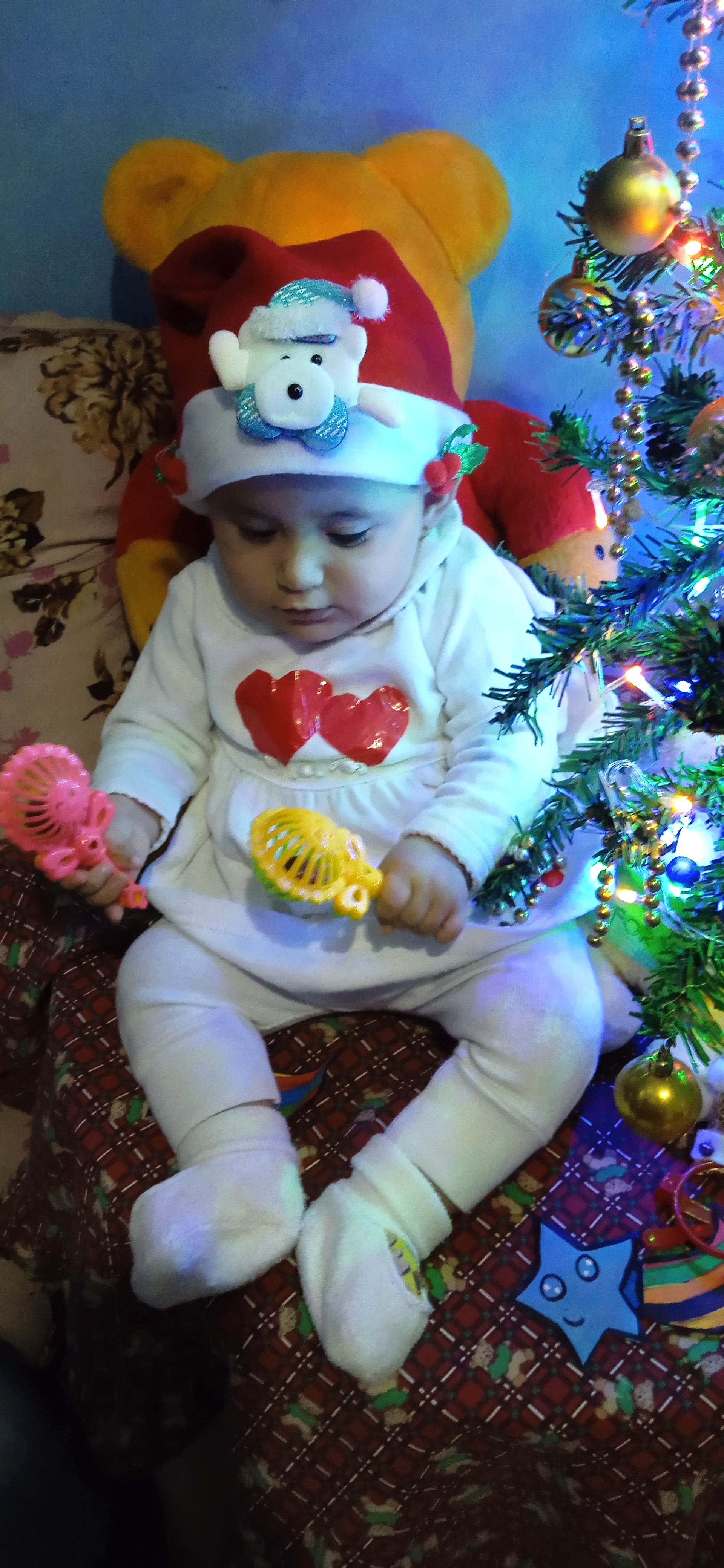  "IMG_20231208_164512.jpg"