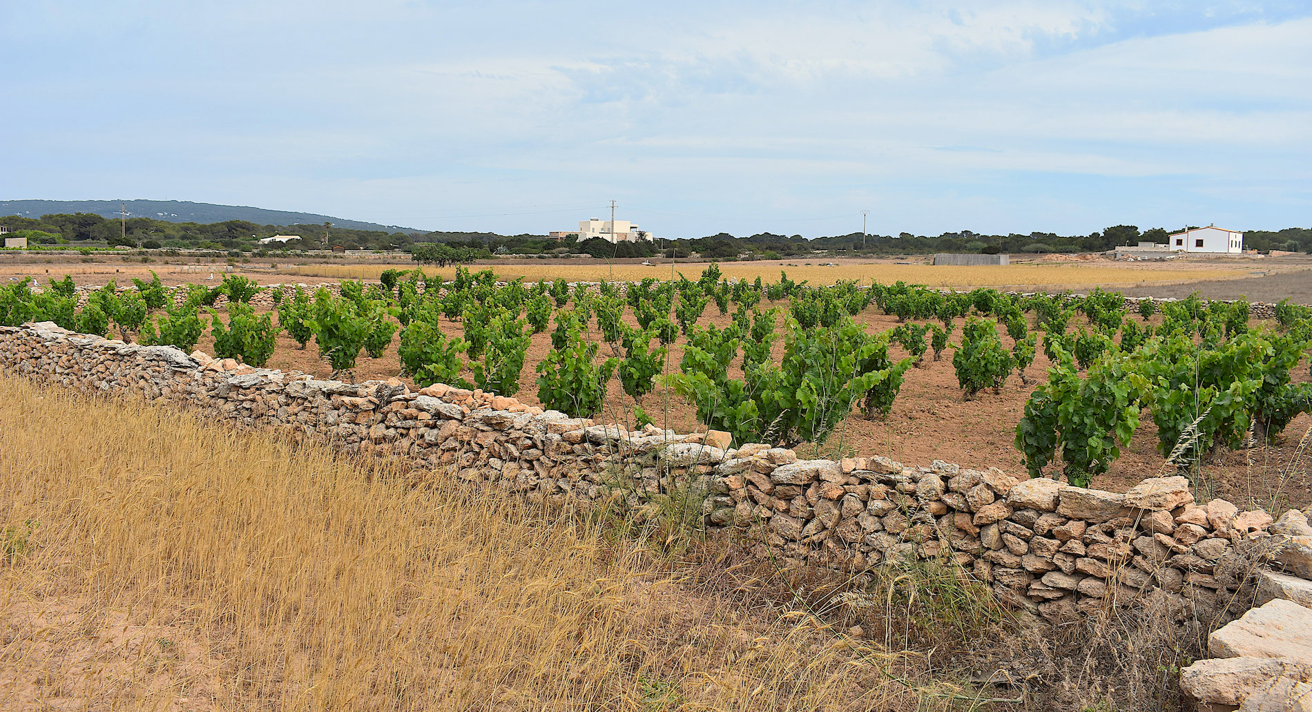 Formentera-03.jpg