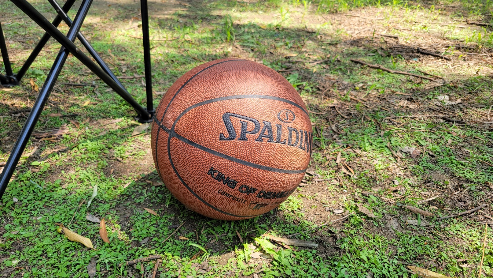 20230718_123952.jpg