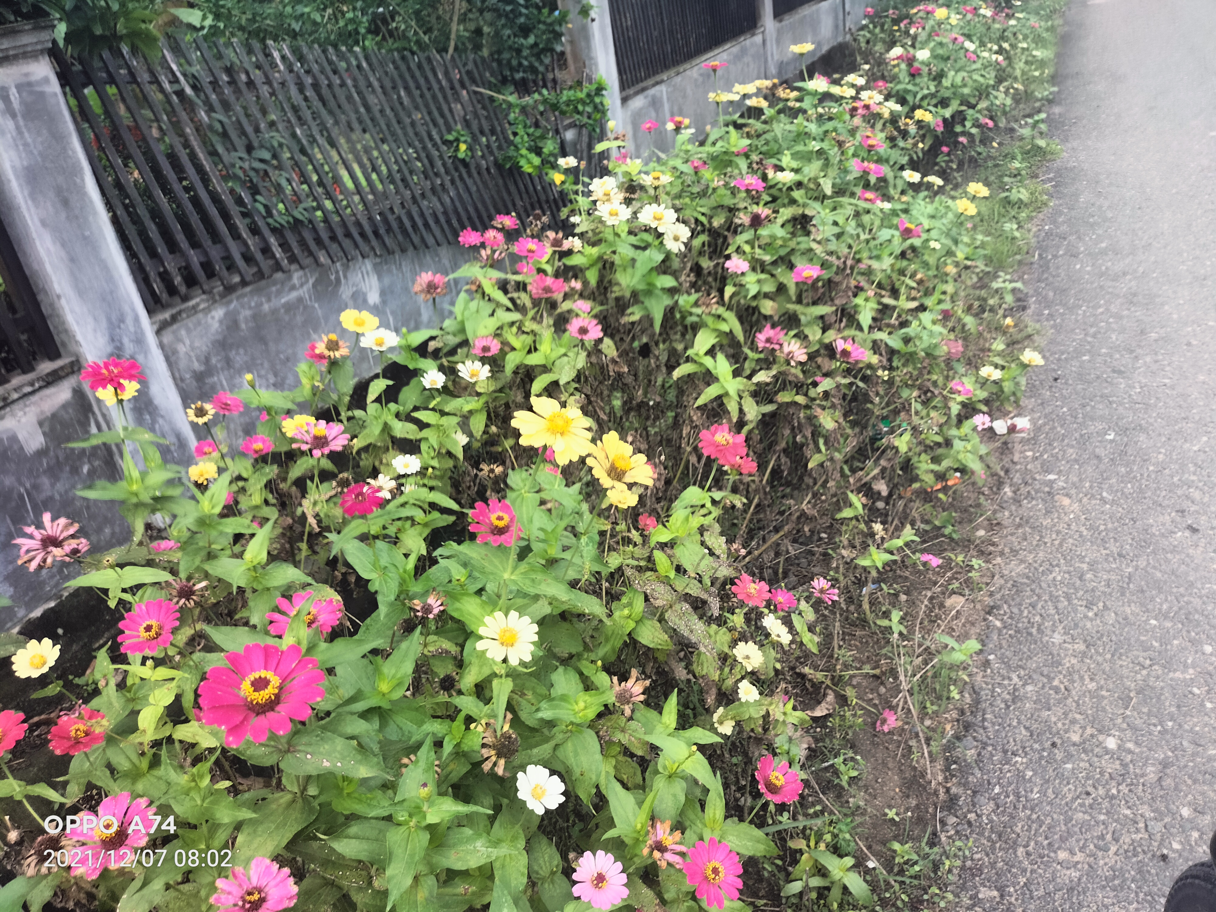 IMG20211207080216.jpg