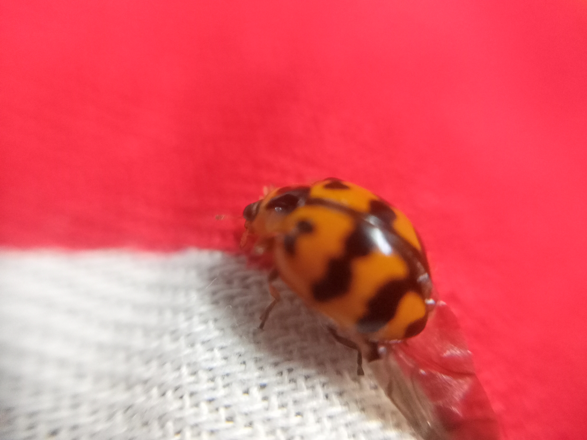 BeautyPlus_20250805123322268_save.jpg