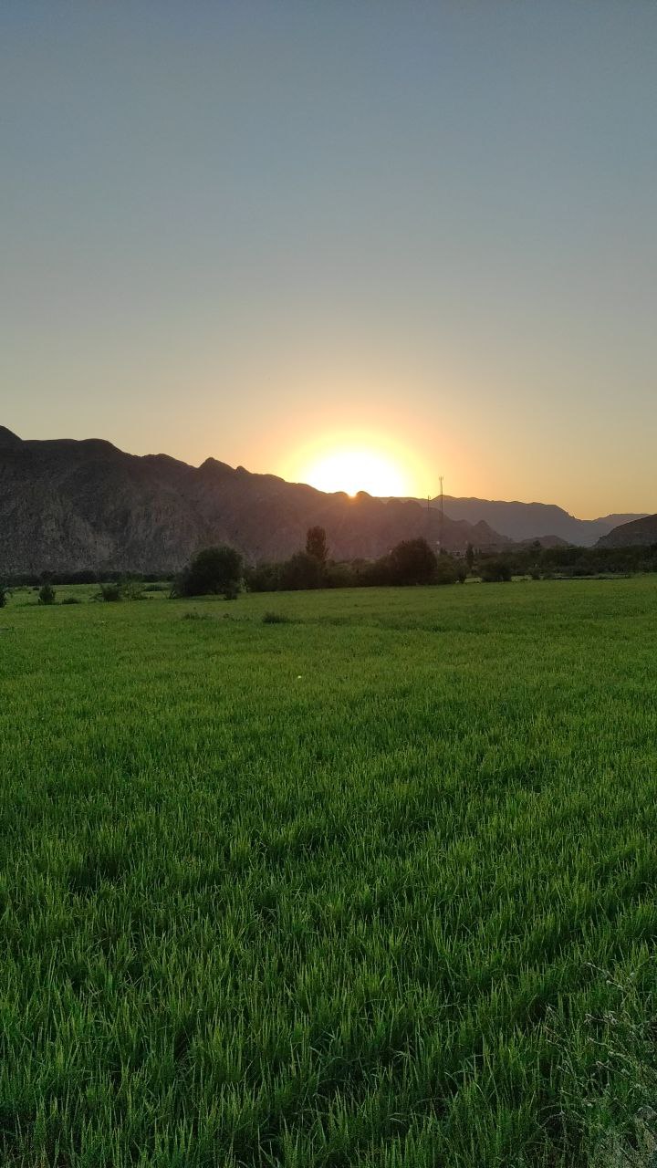 IMG_6677.jpeg