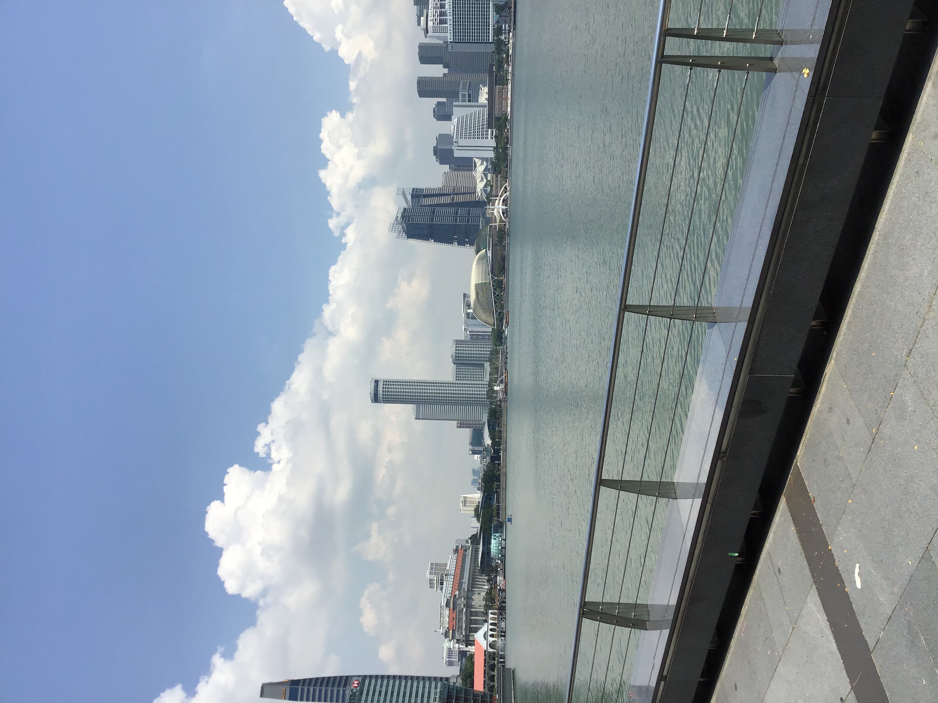 Singapore3.jpeg
