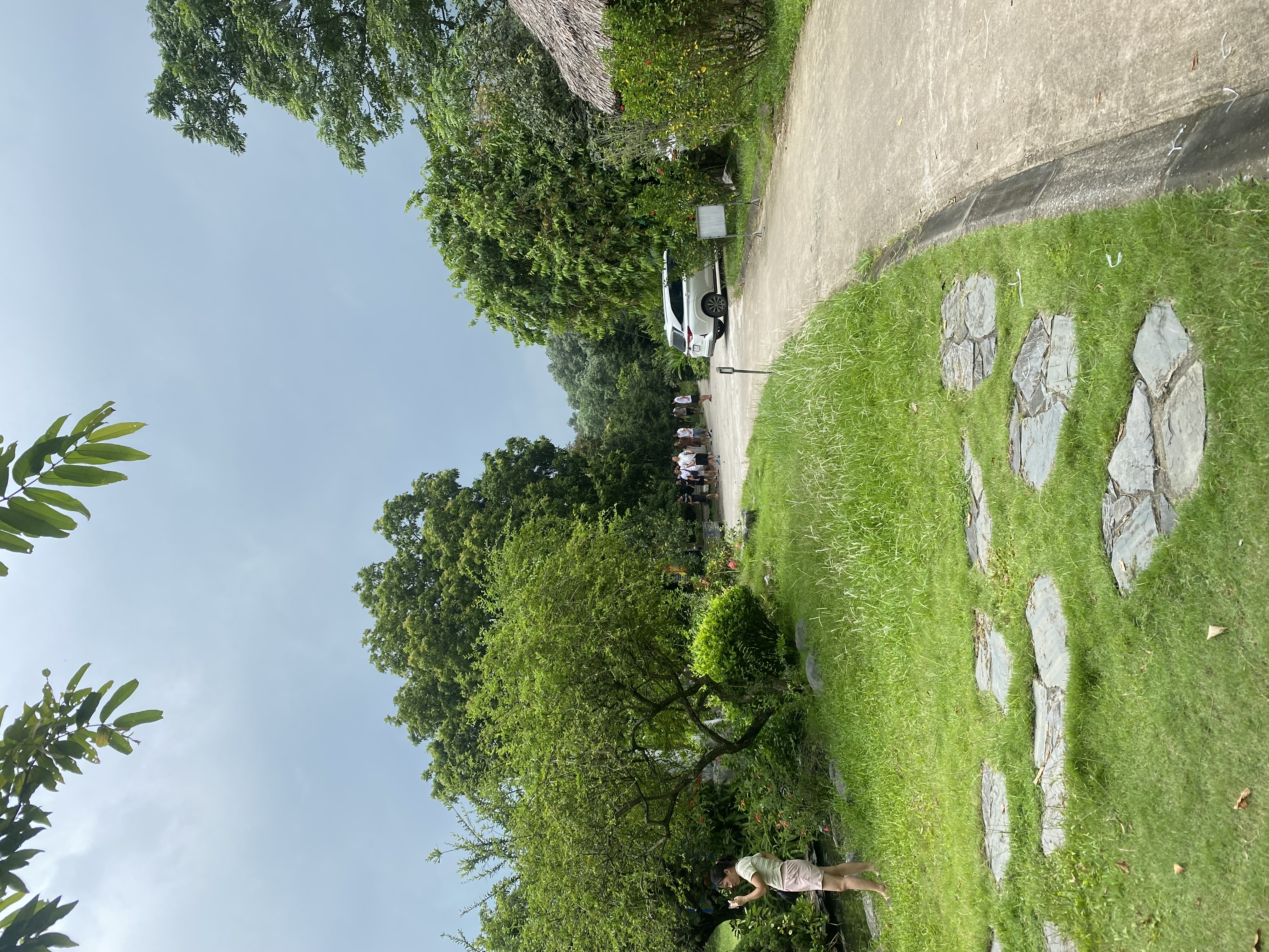 IMG_8417.jpeg
