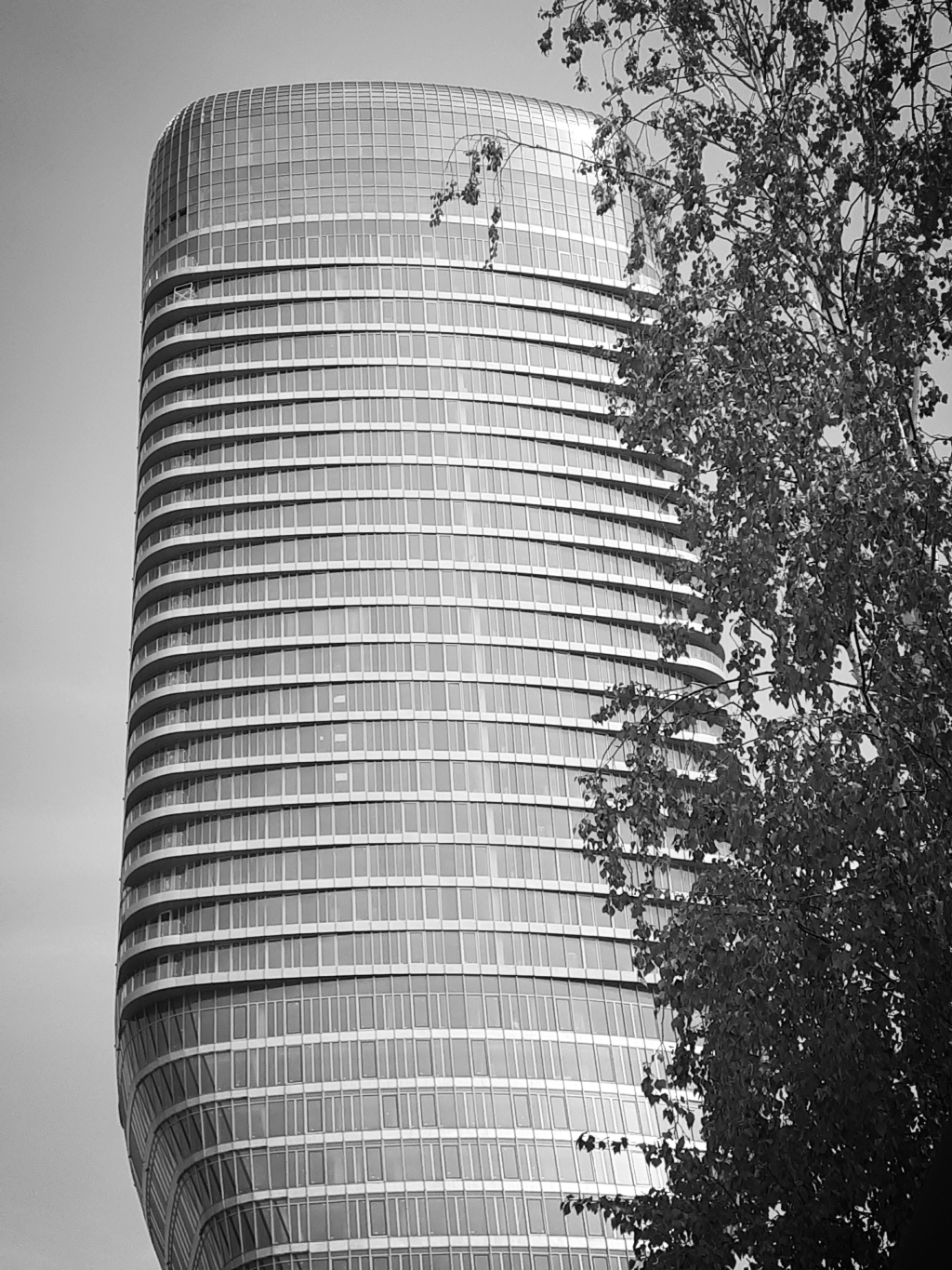 20240818_115712.jpg