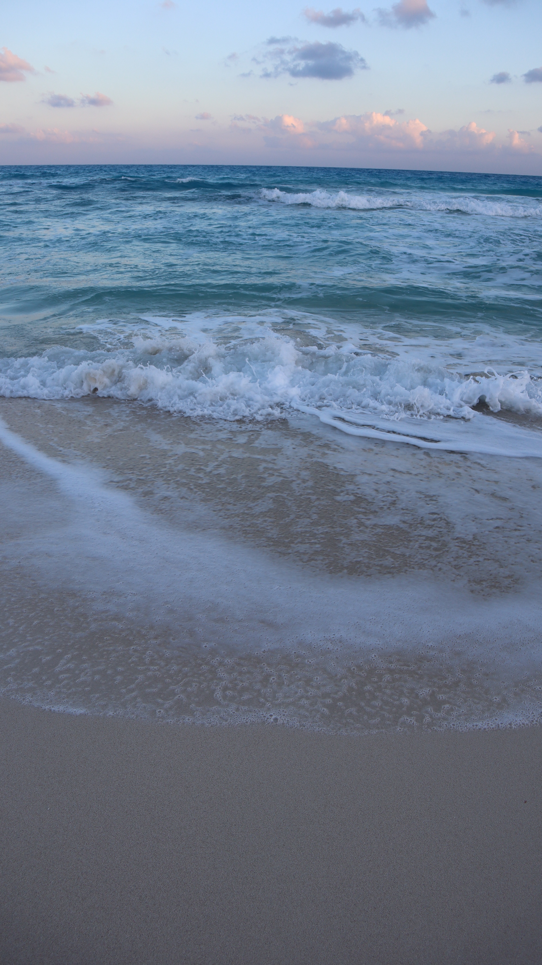IMG_2898_copy_1891x3368.jpg