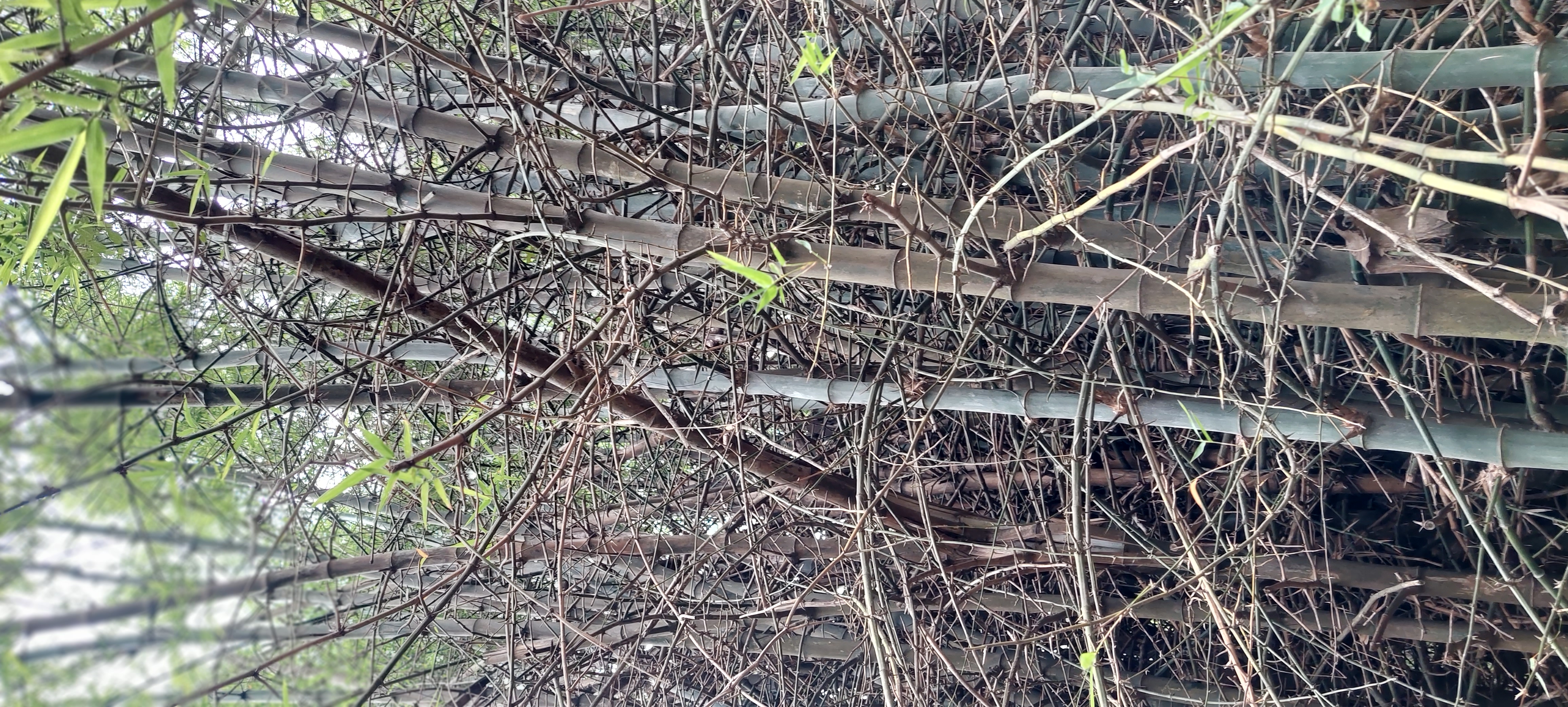 20230610_153543.jpg