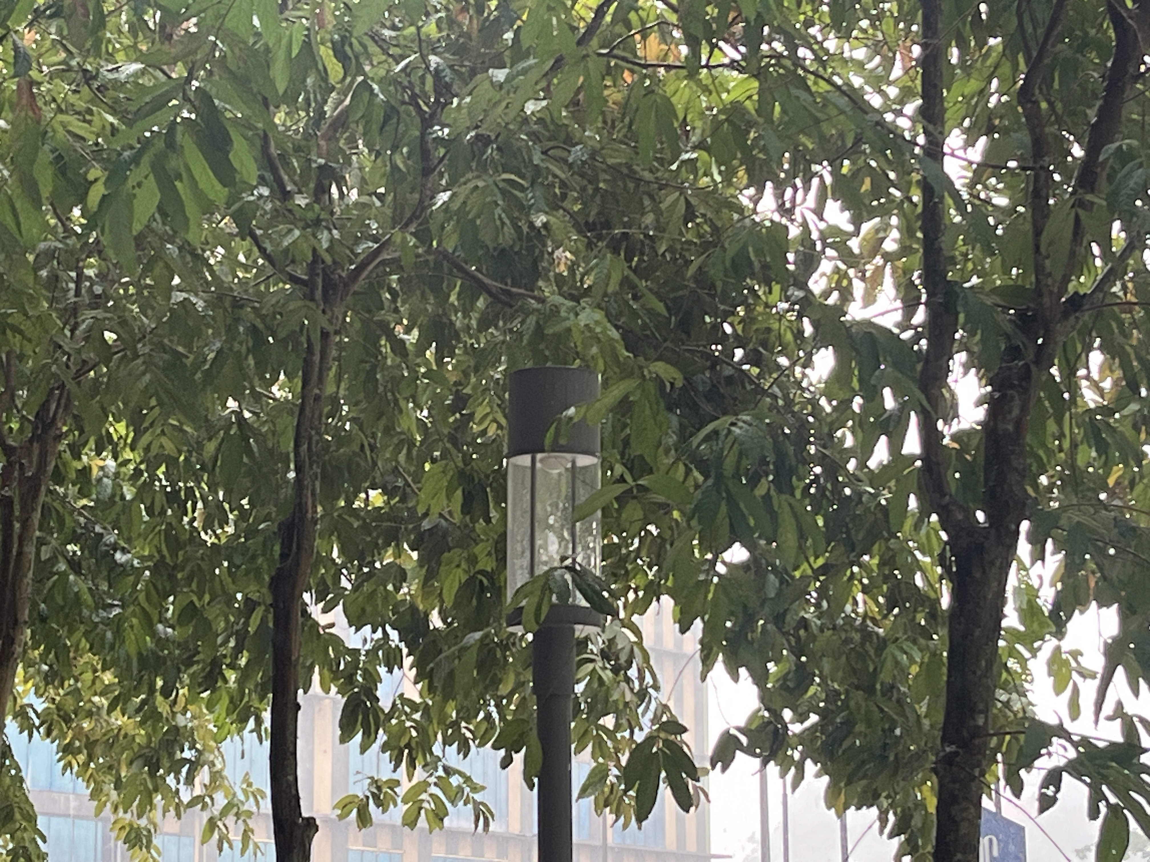 IMG_9280.jpeg