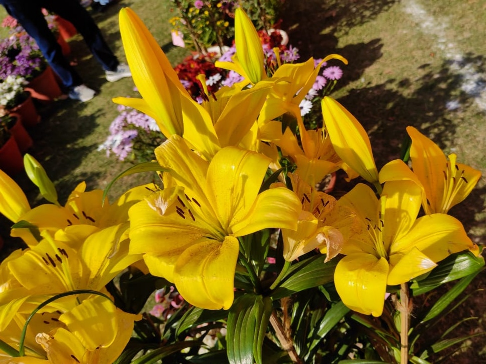 IMG_20250818_155348.jpg