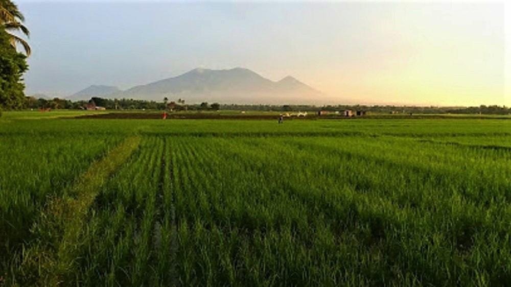 mt. banahaw.jpg