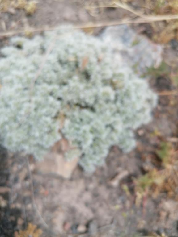 IMG_20250602_130926.jpg
