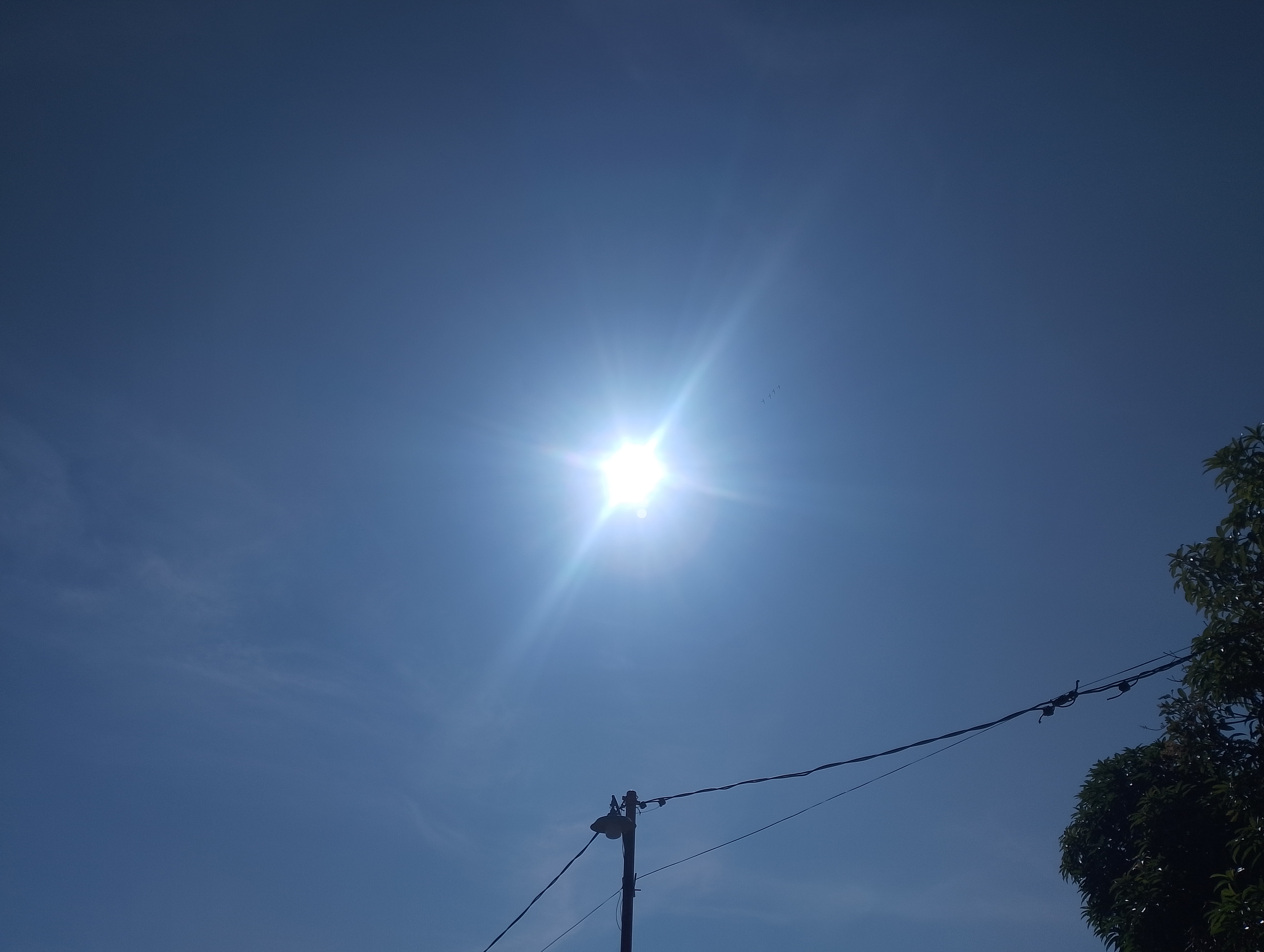 IMG_20250701_095120.jpg